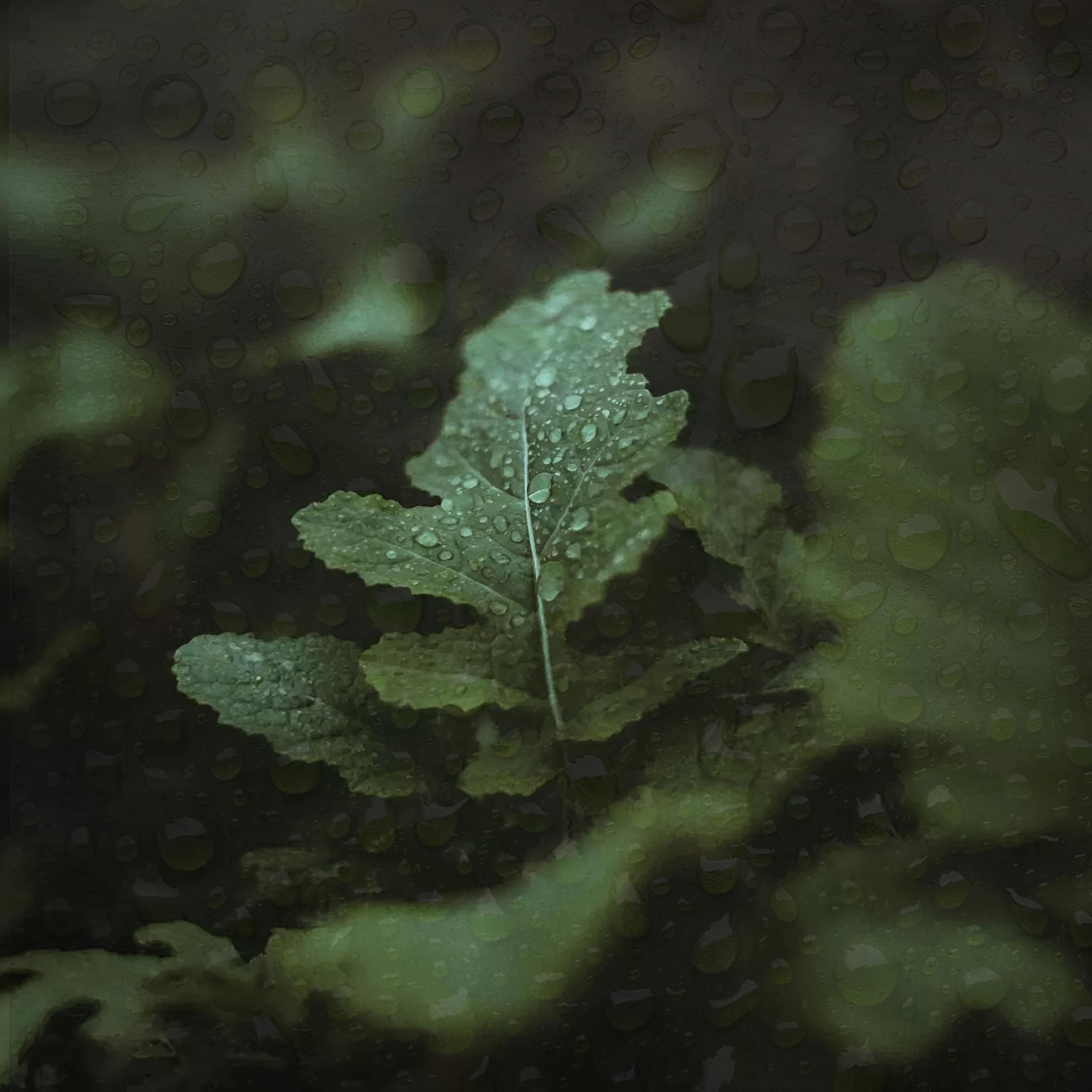 green noise rain artwork