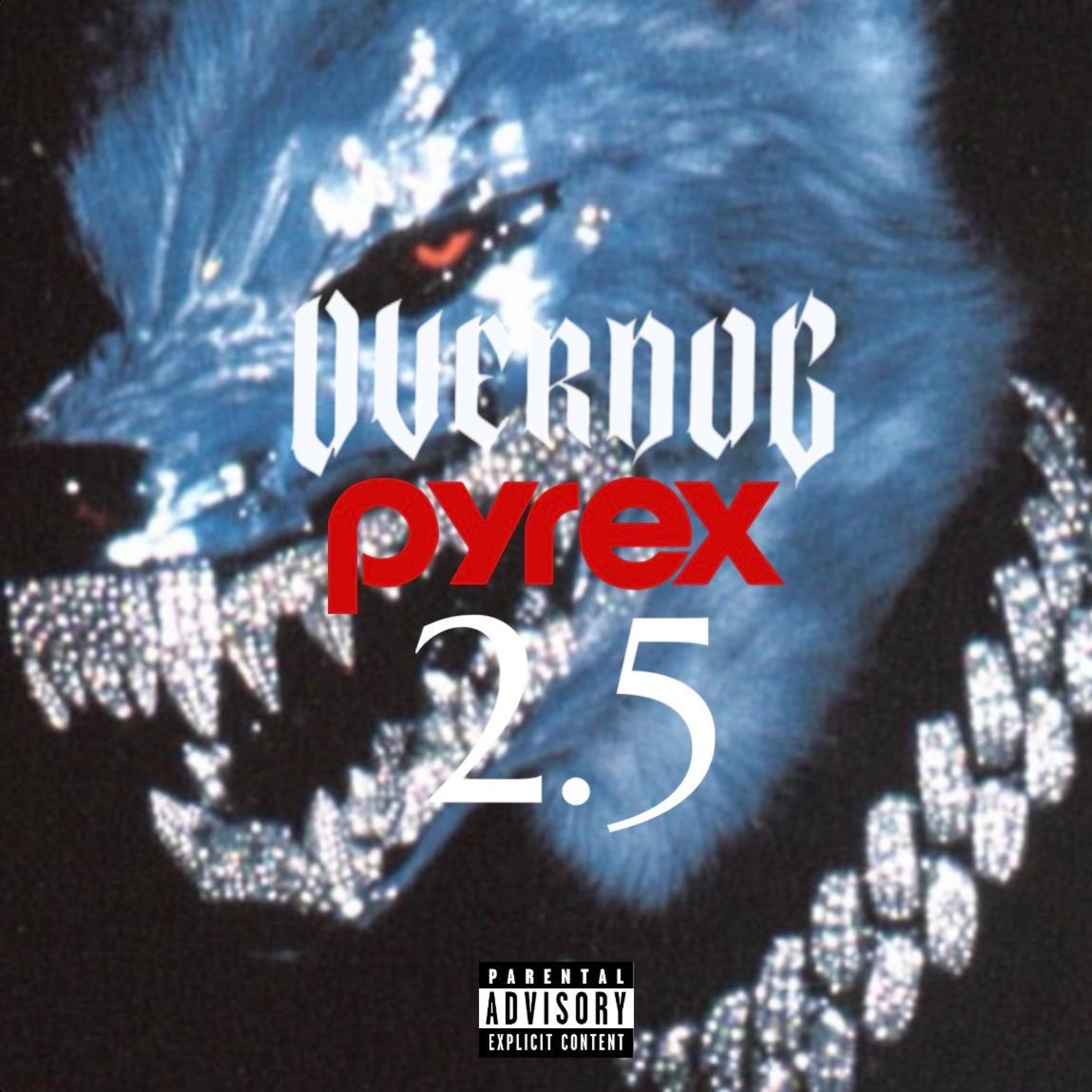 Overdog Pyrex Musik 2.5 artwork