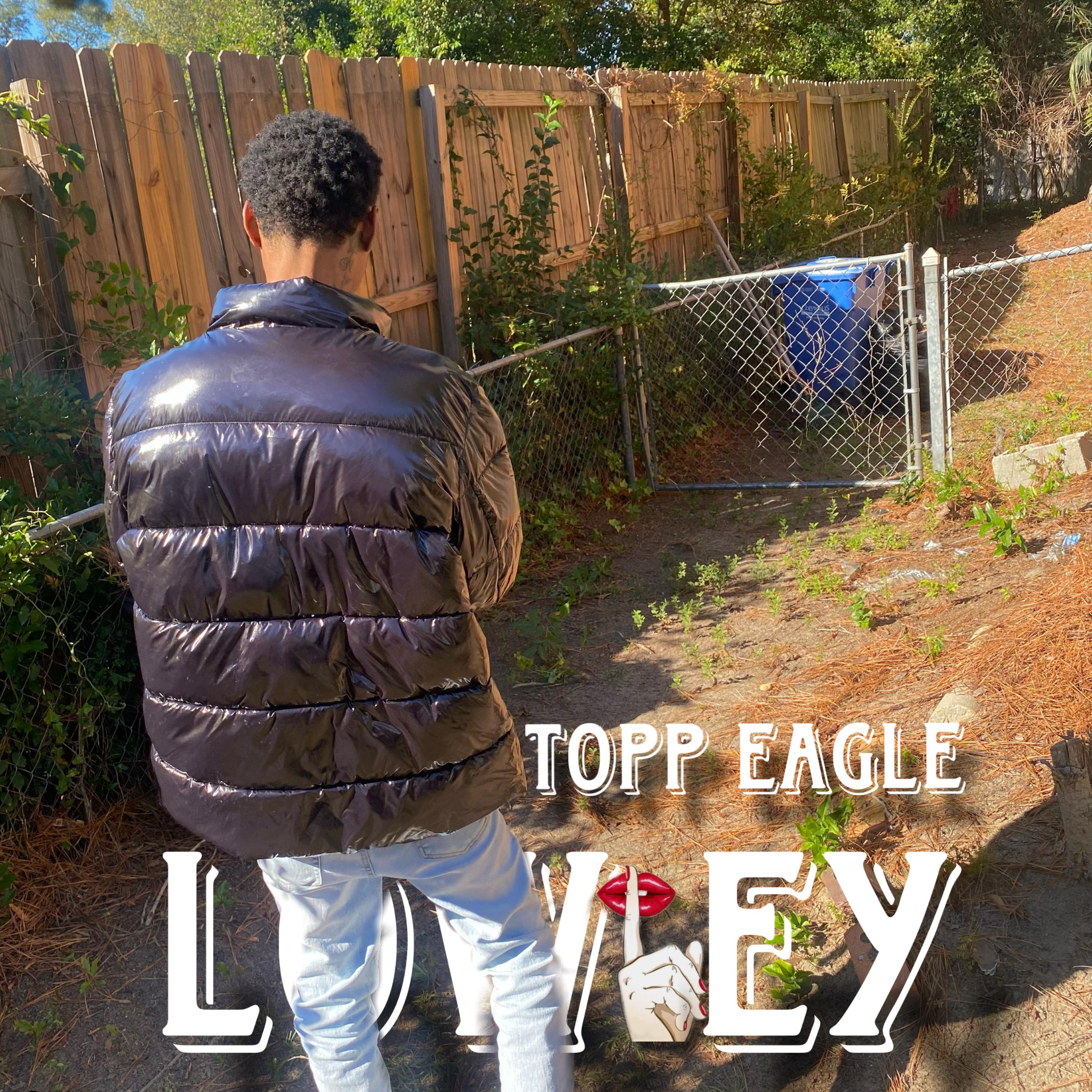 LowKey artwork