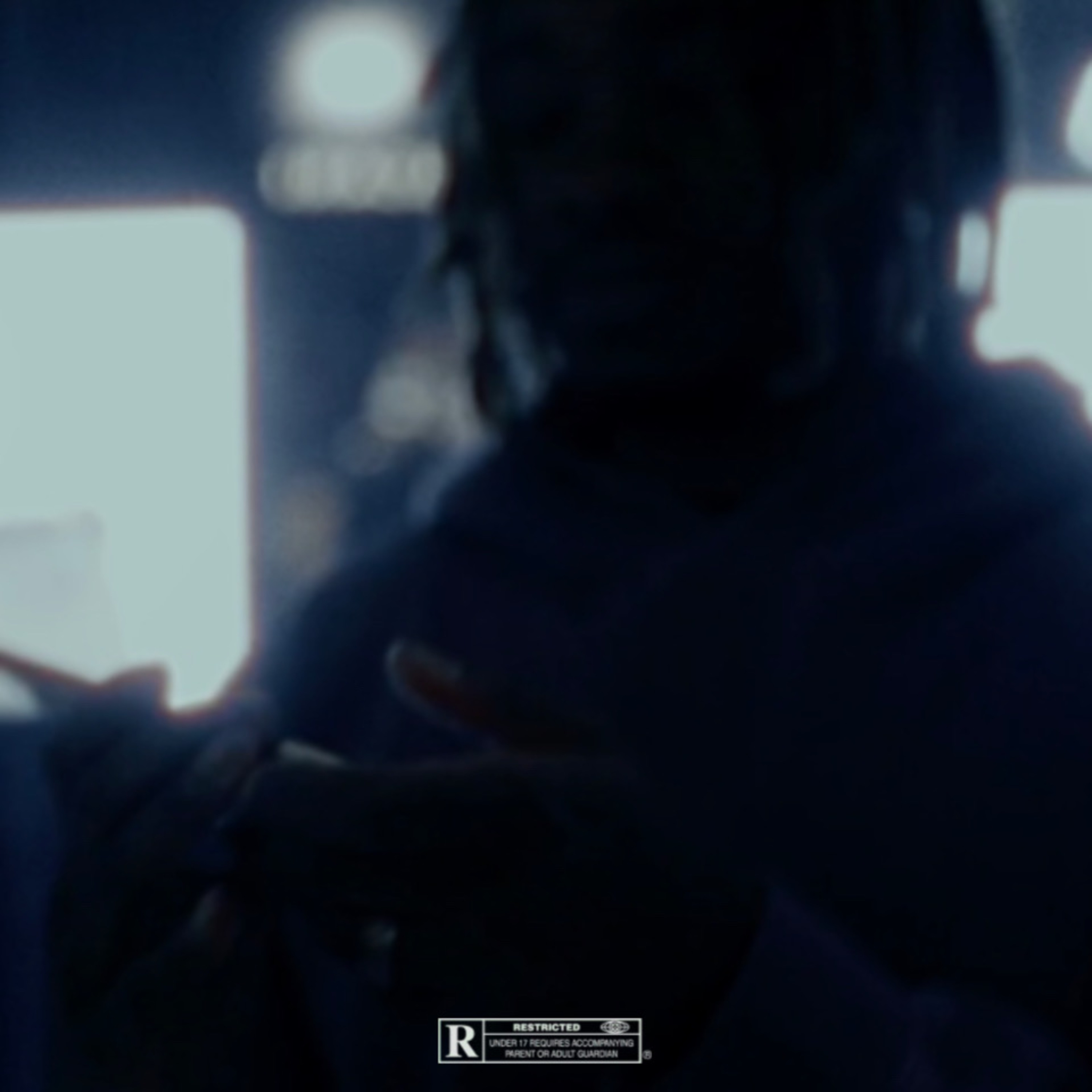 i’m the problem artwork