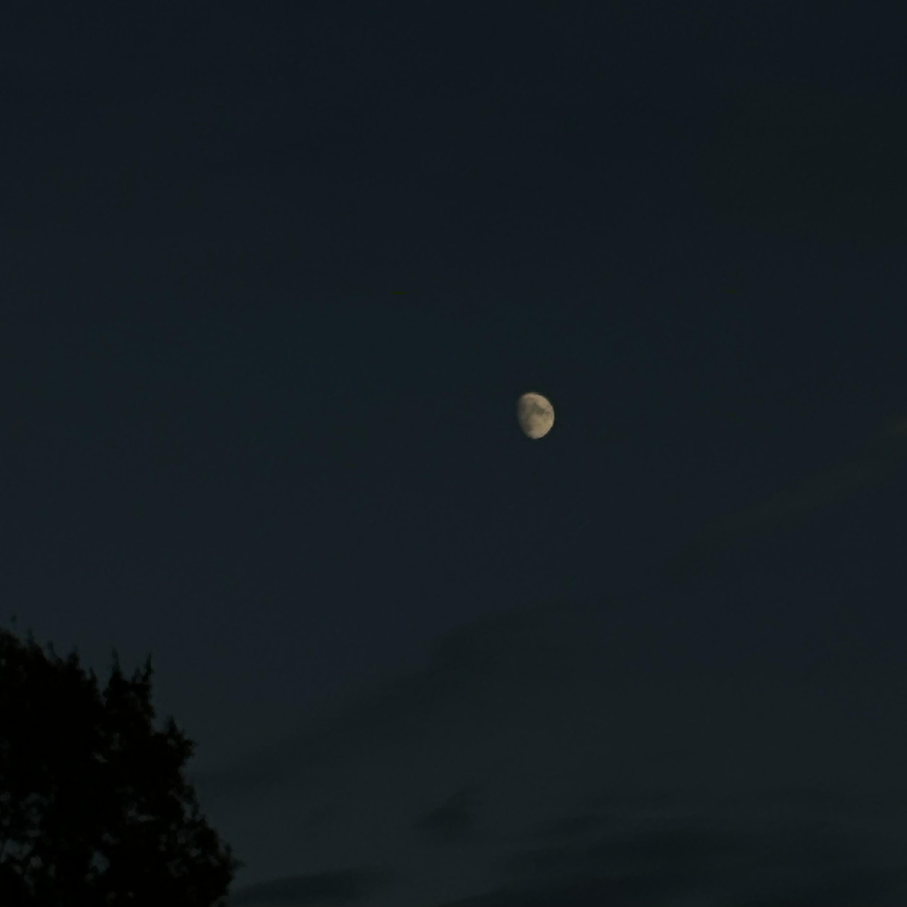 Into The Moonlight artwork