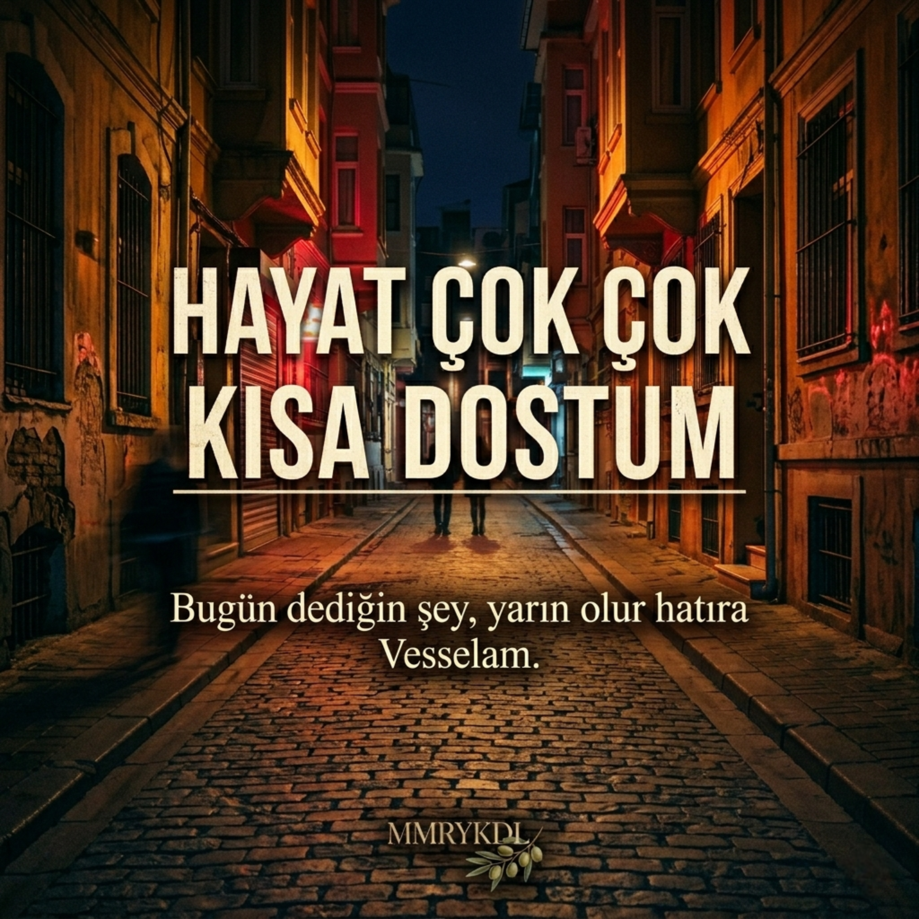 HAYAT ÇOK ÇOK KISA DOSTUM by MMRYKDL cover art