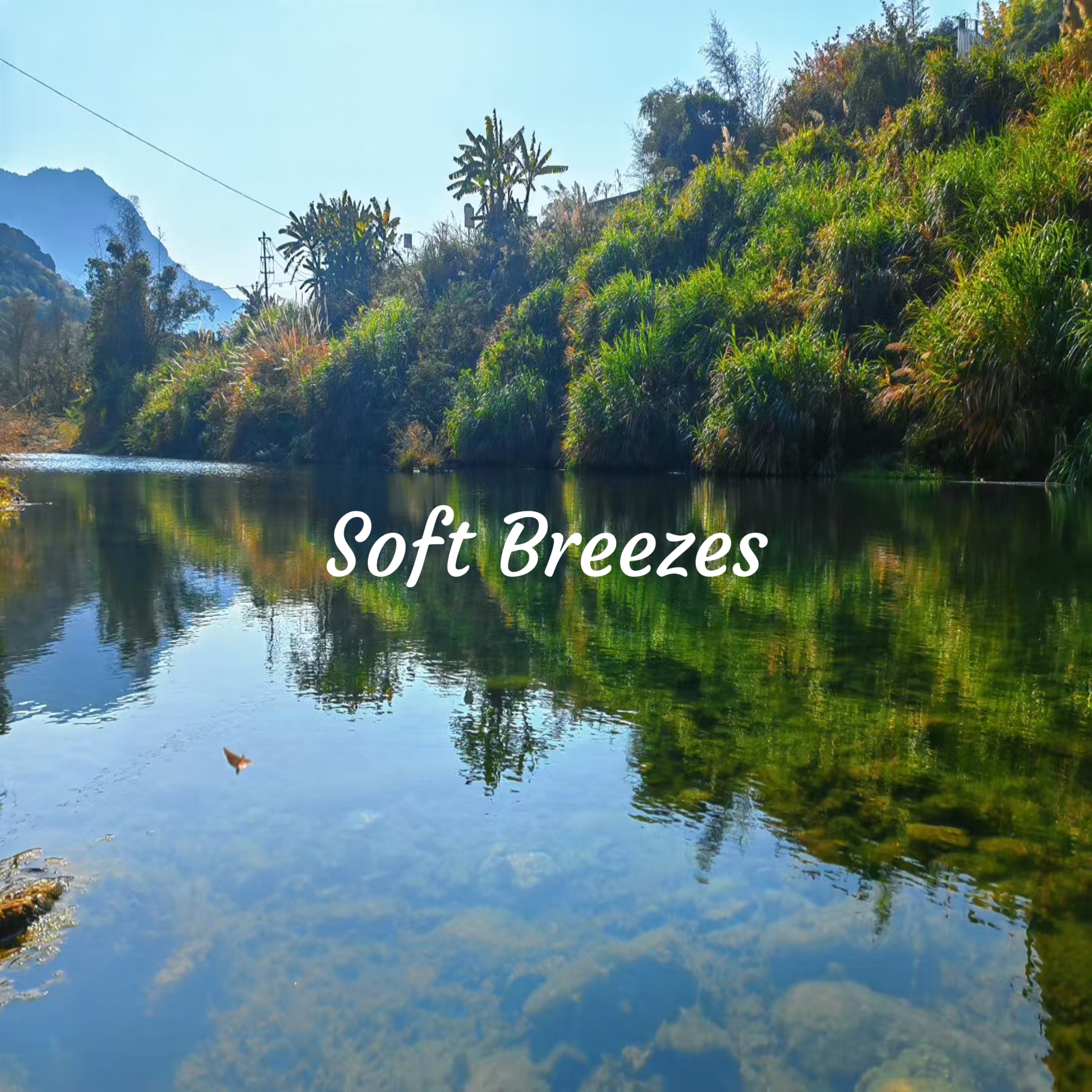 Soft Breezes artwork