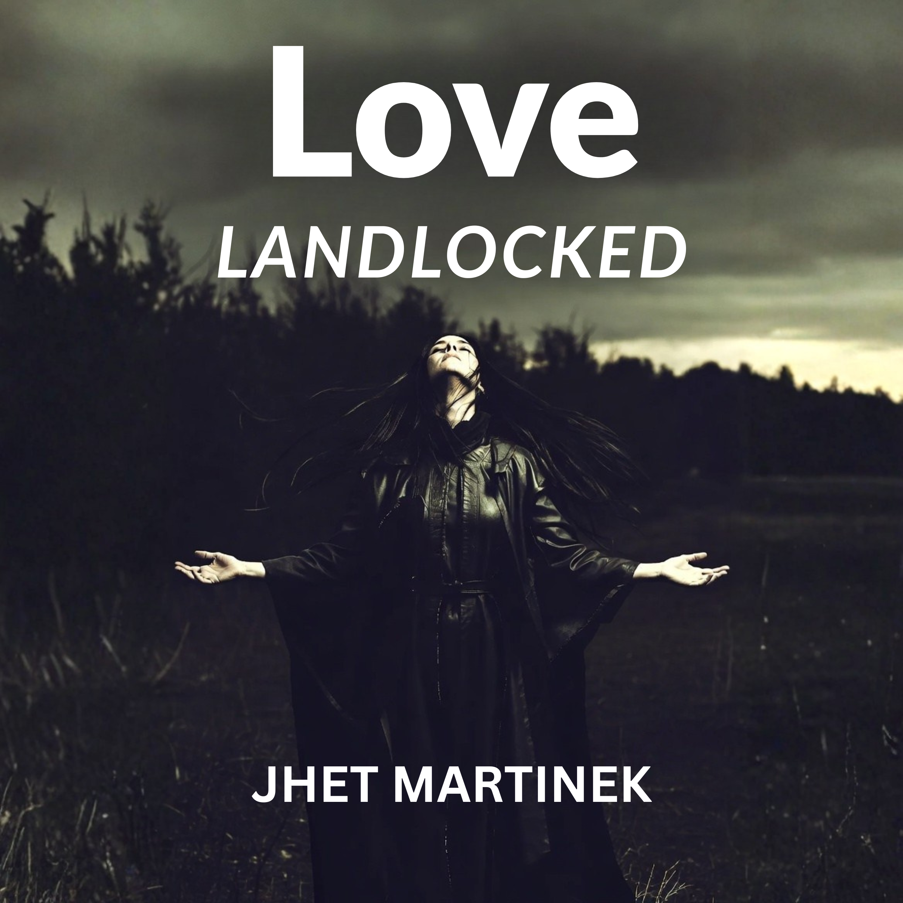 Love Landlocked artwork