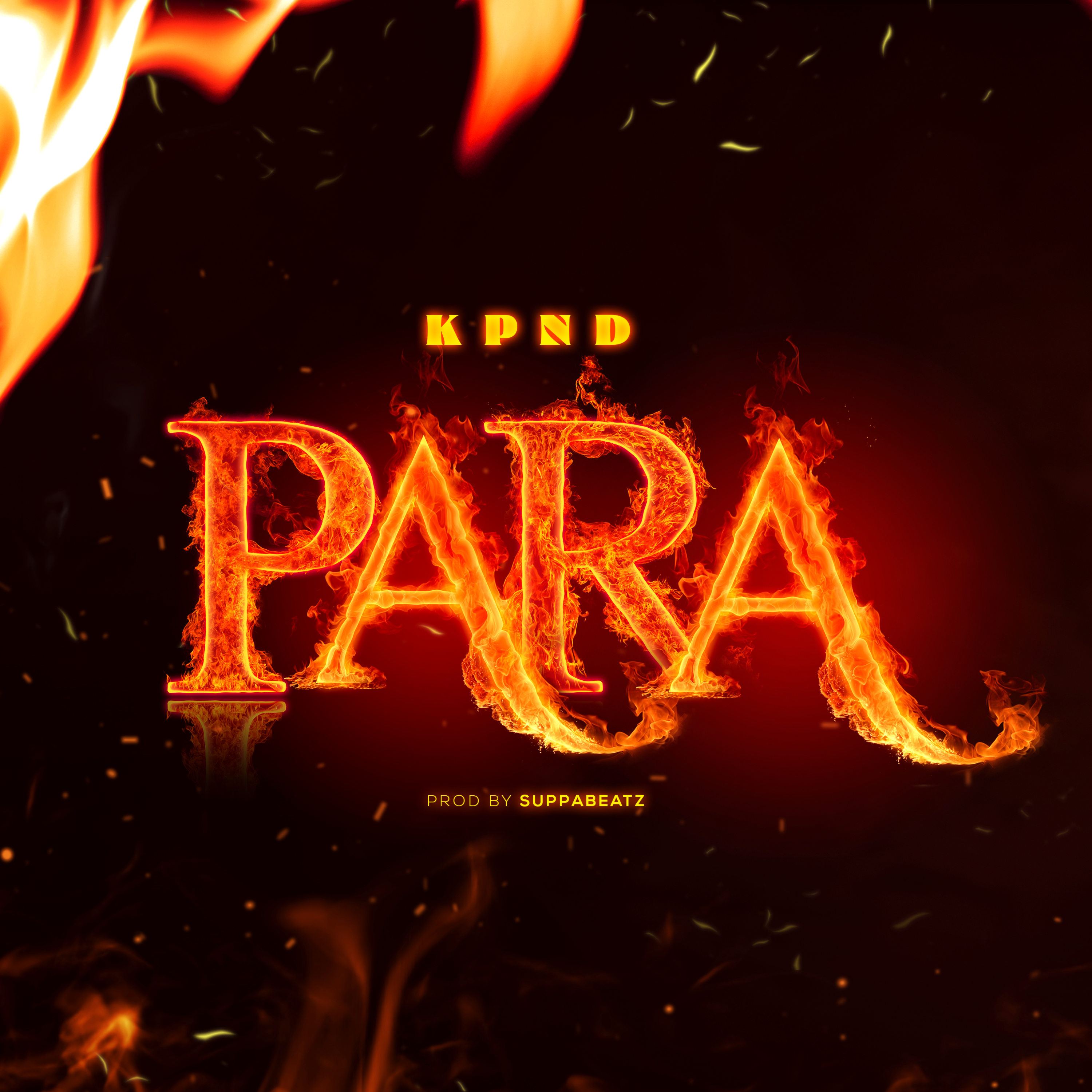 PARA artwork
