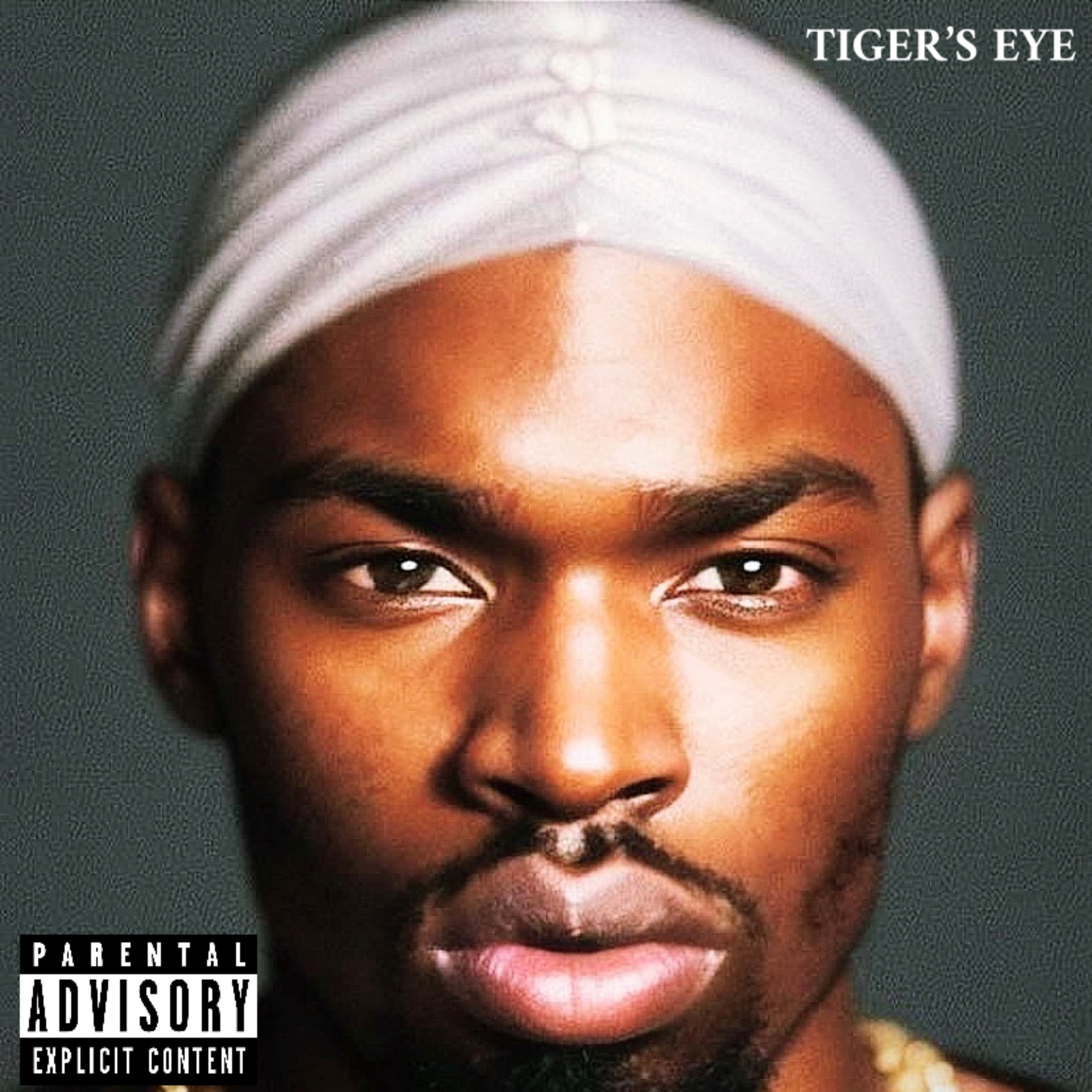 TIGER'S EYE artwork
