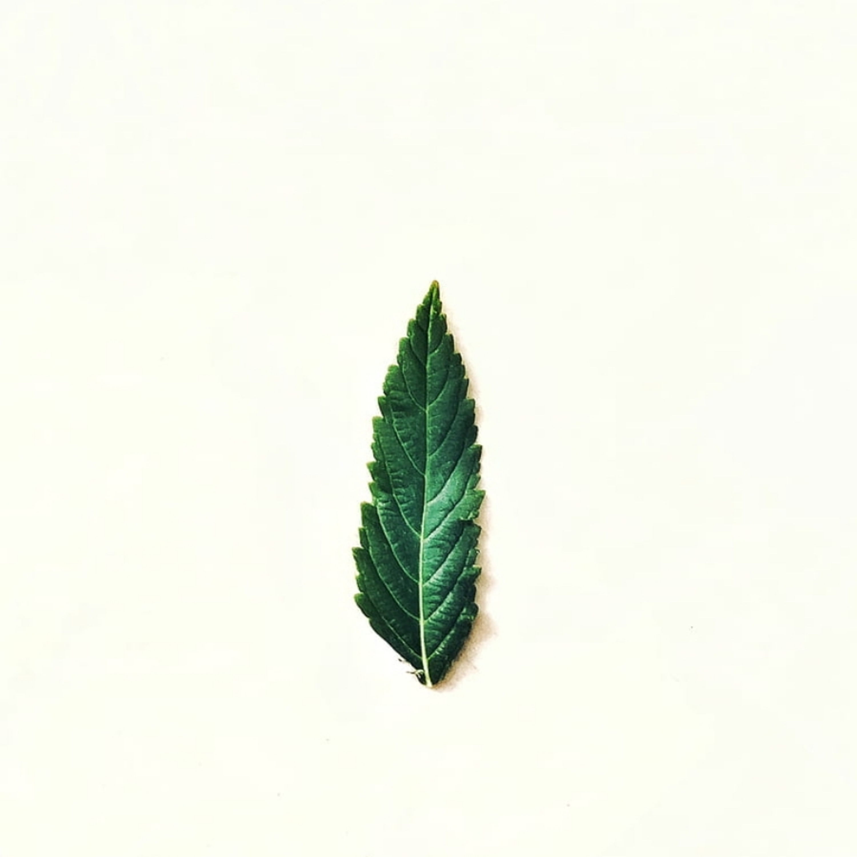 Jesus The Way artwork