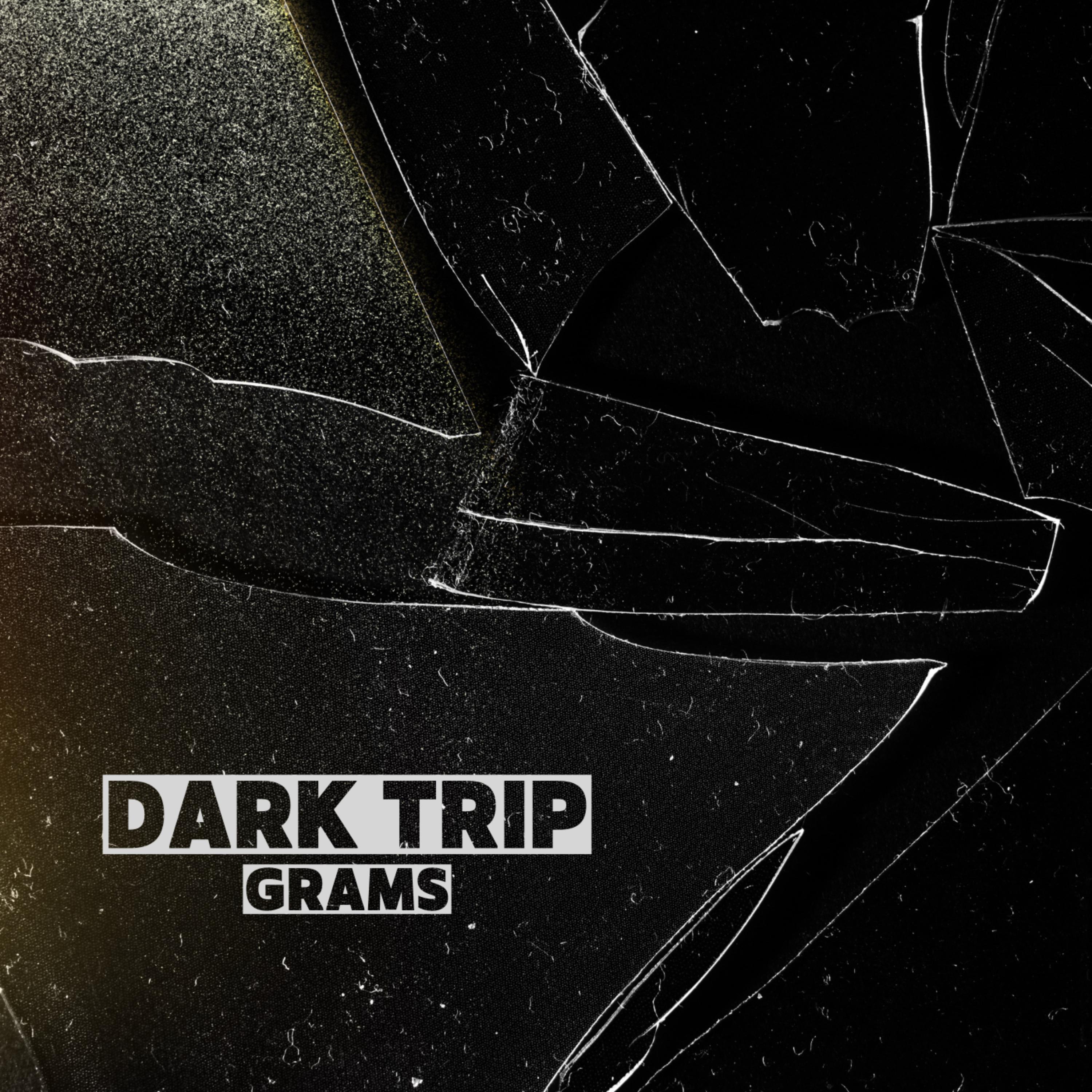 Dark Trip artwork