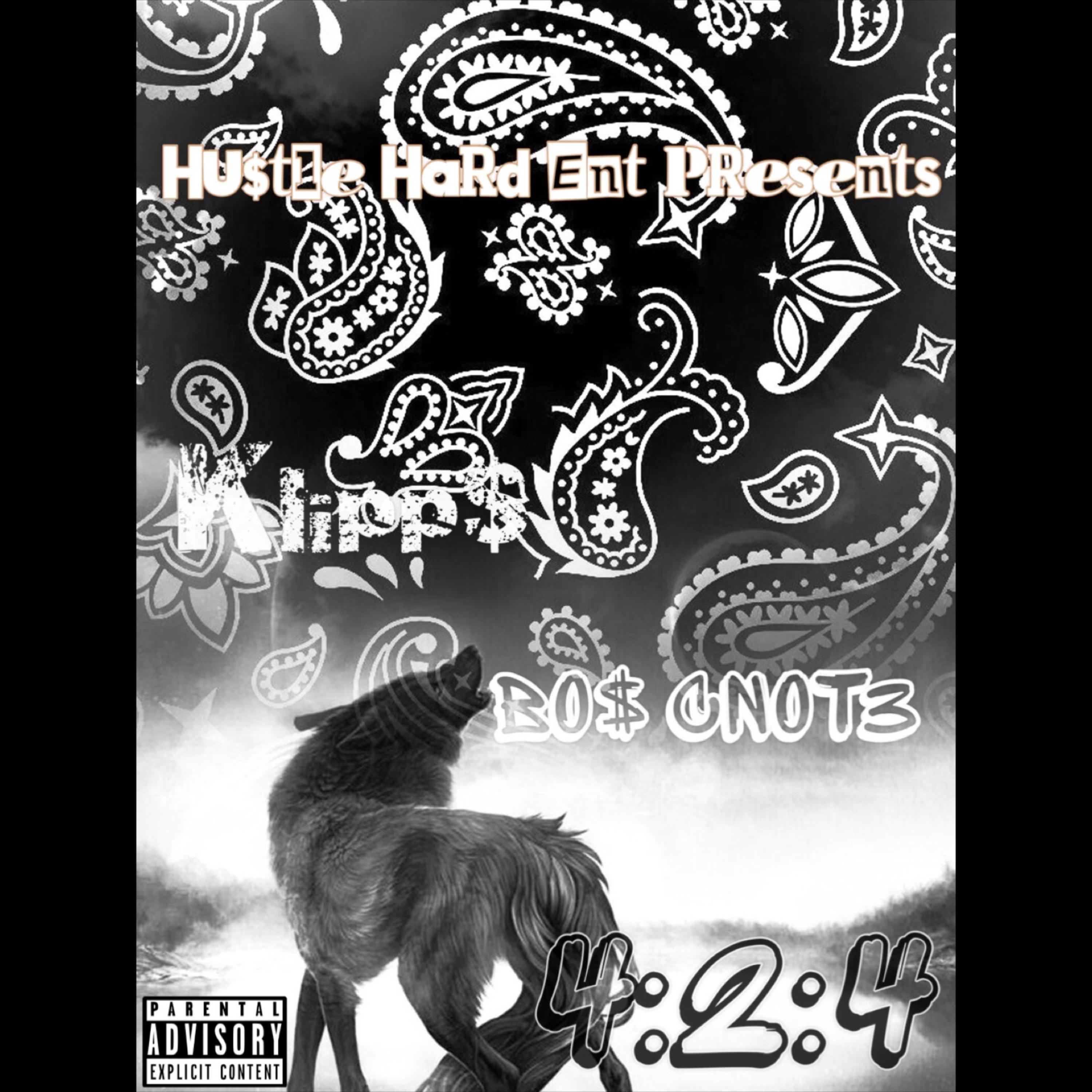 4:2:4 artwork