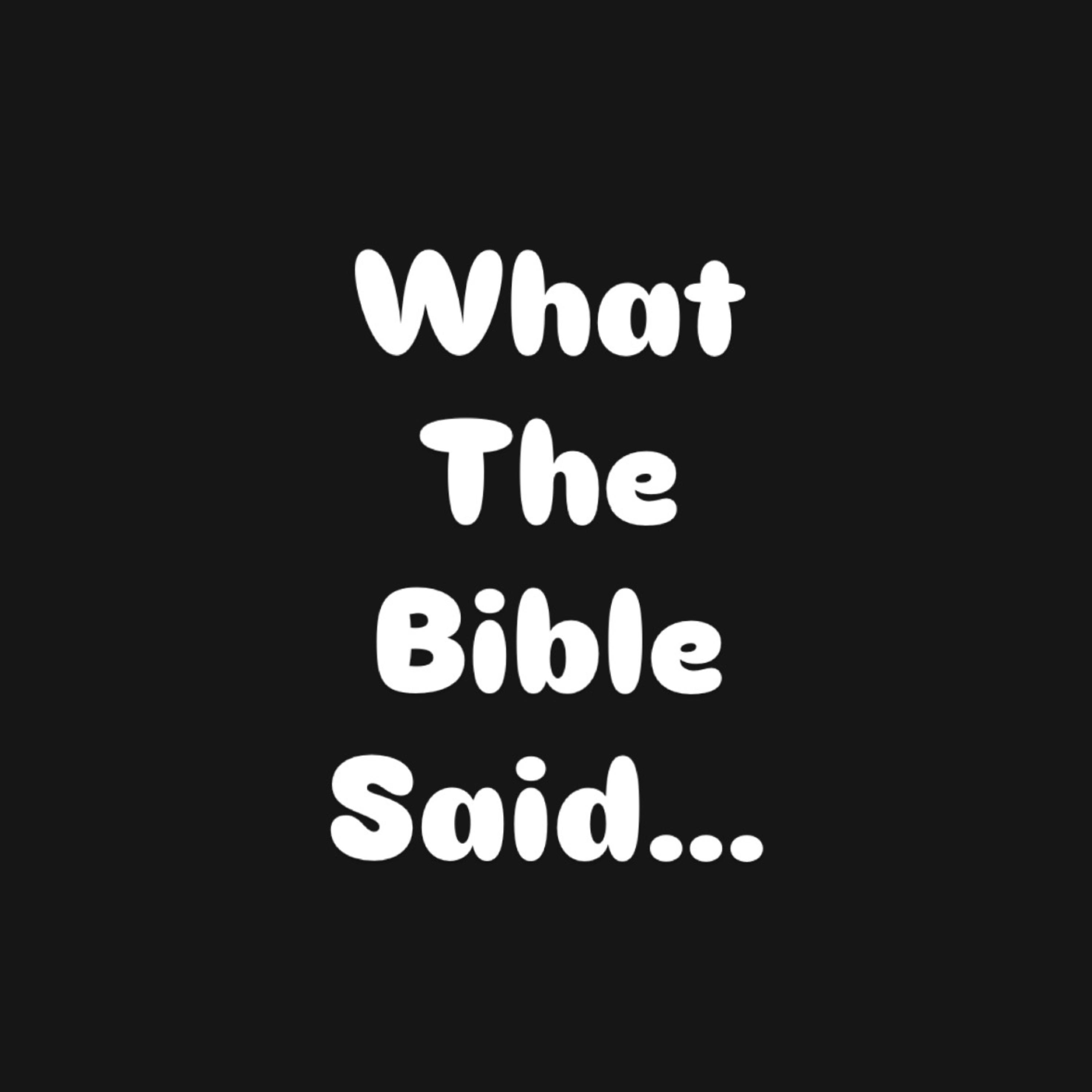 What The Bible Said artwork