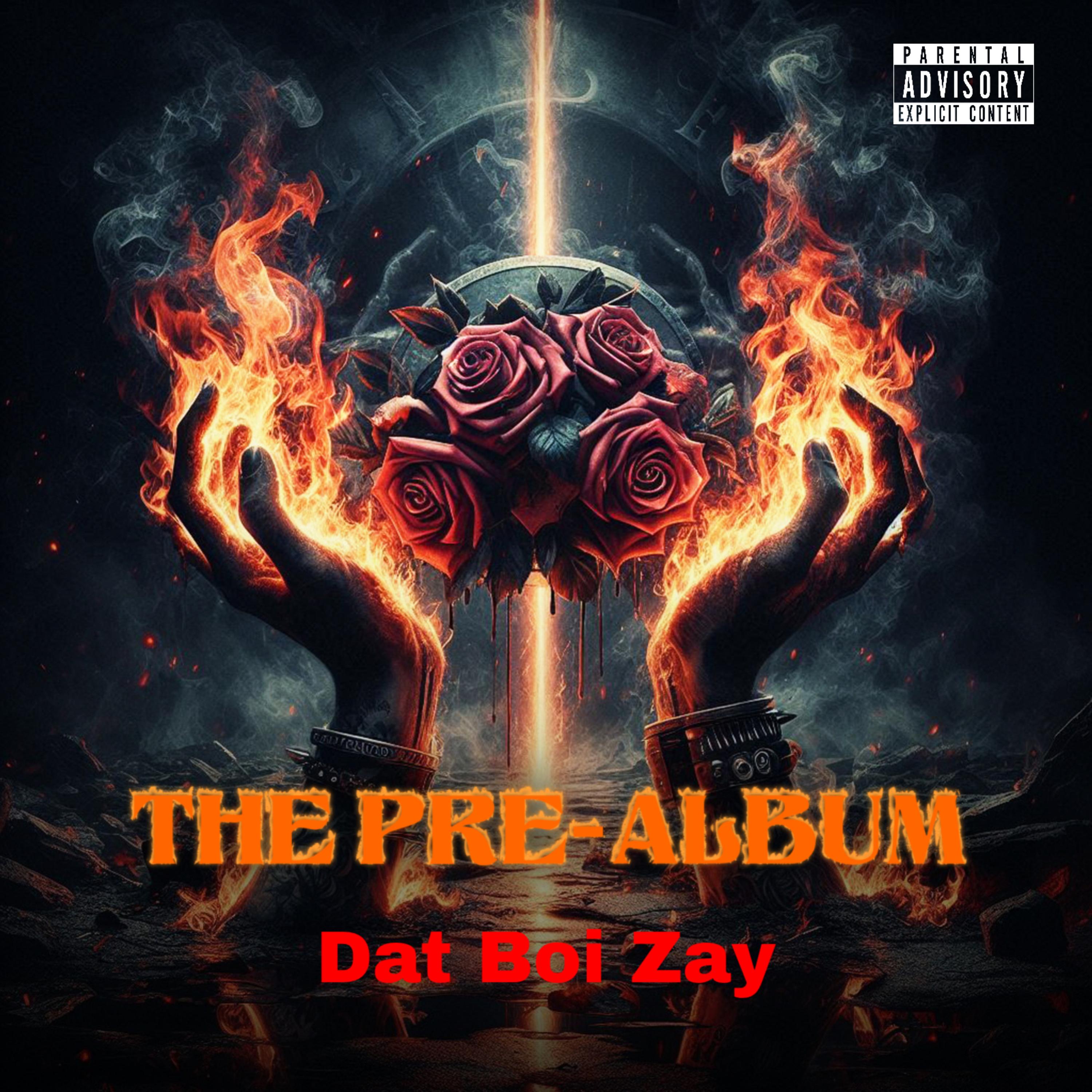 The Pre-Album artwork