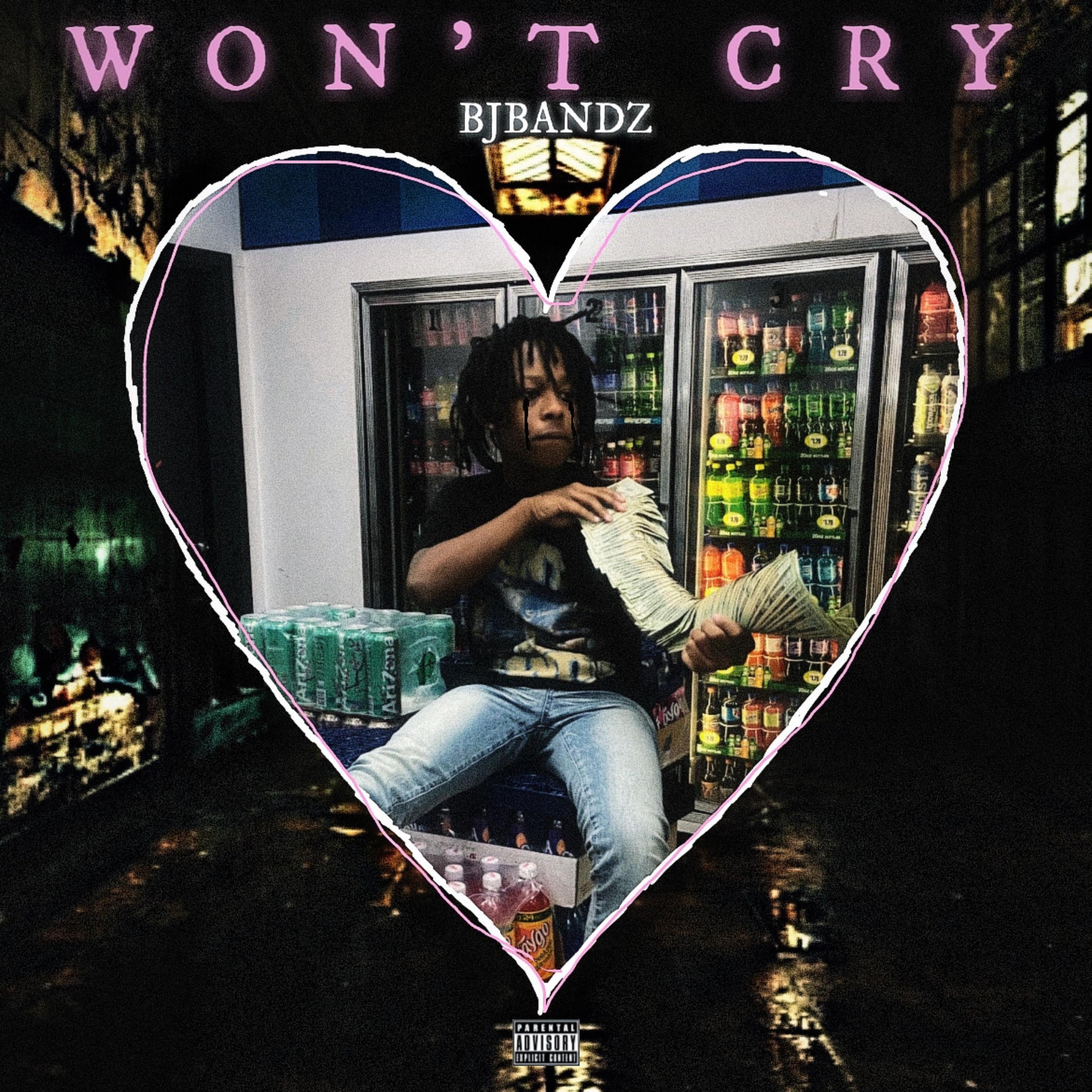 Won’t Cry artwork