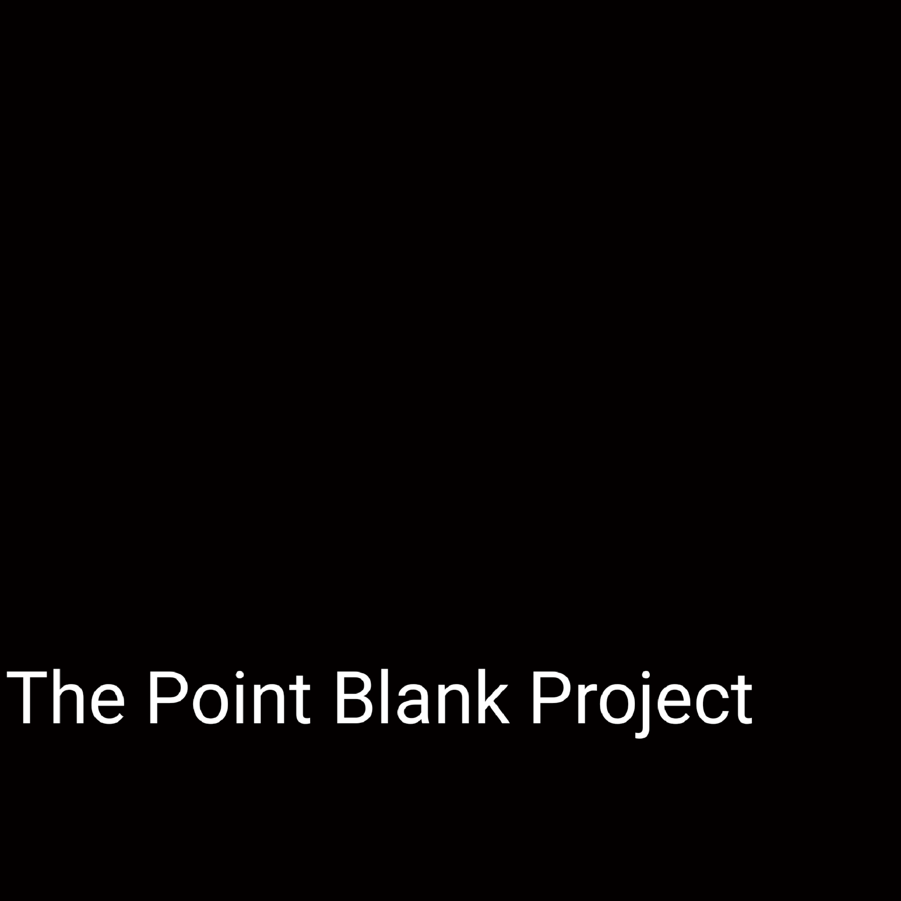 The Point Blank Project artwork