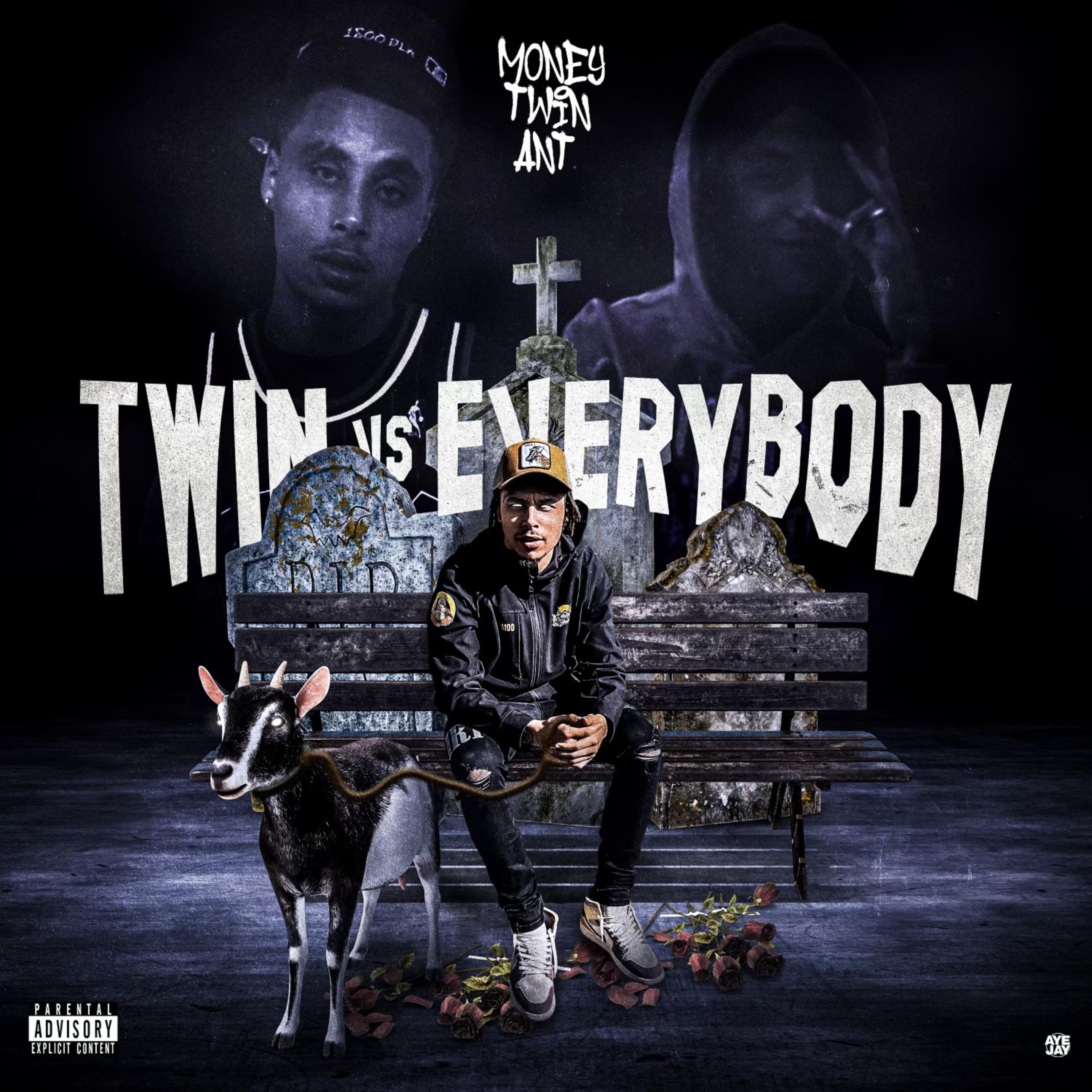 Twin Vs Everybody artwork