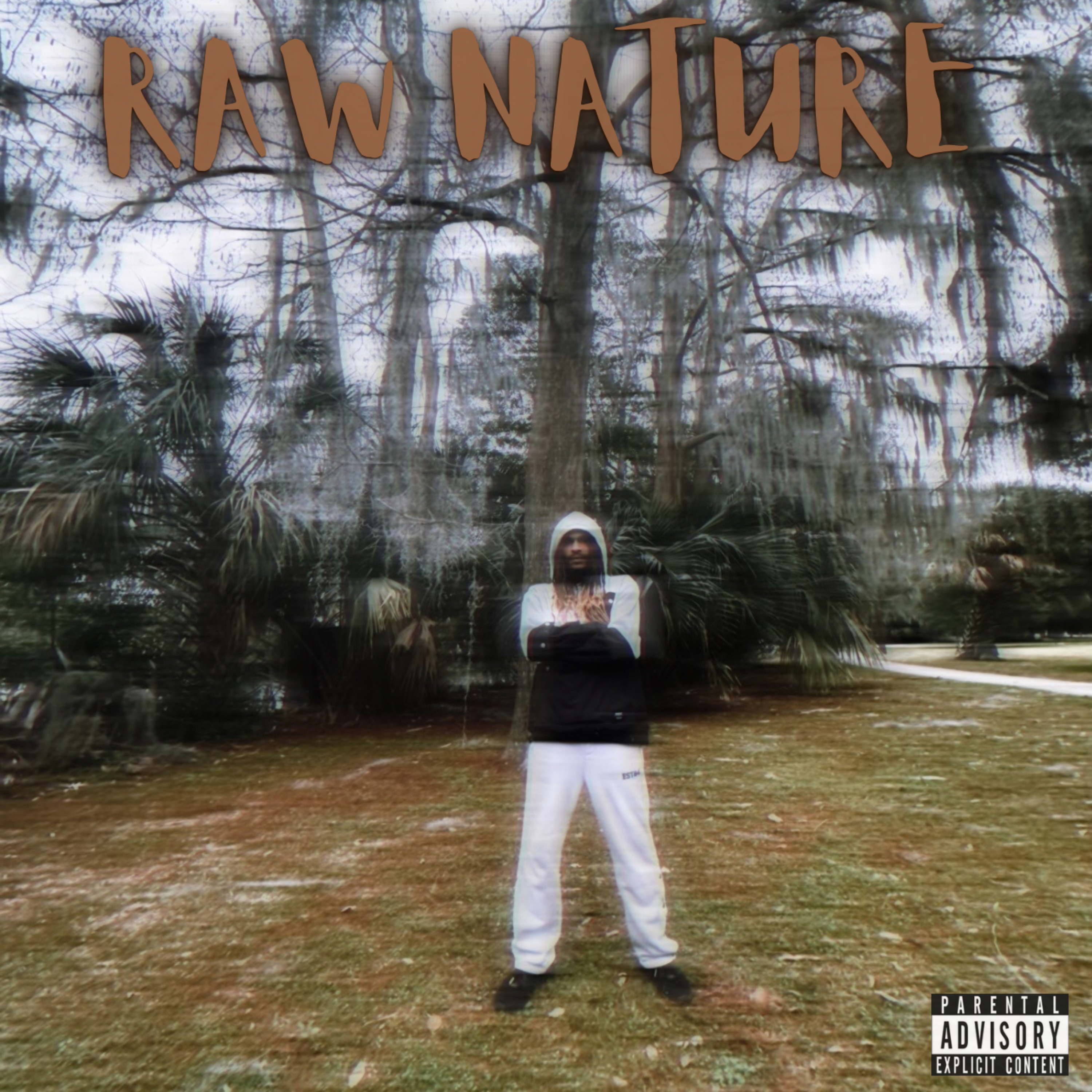 RAW NATURE artwork