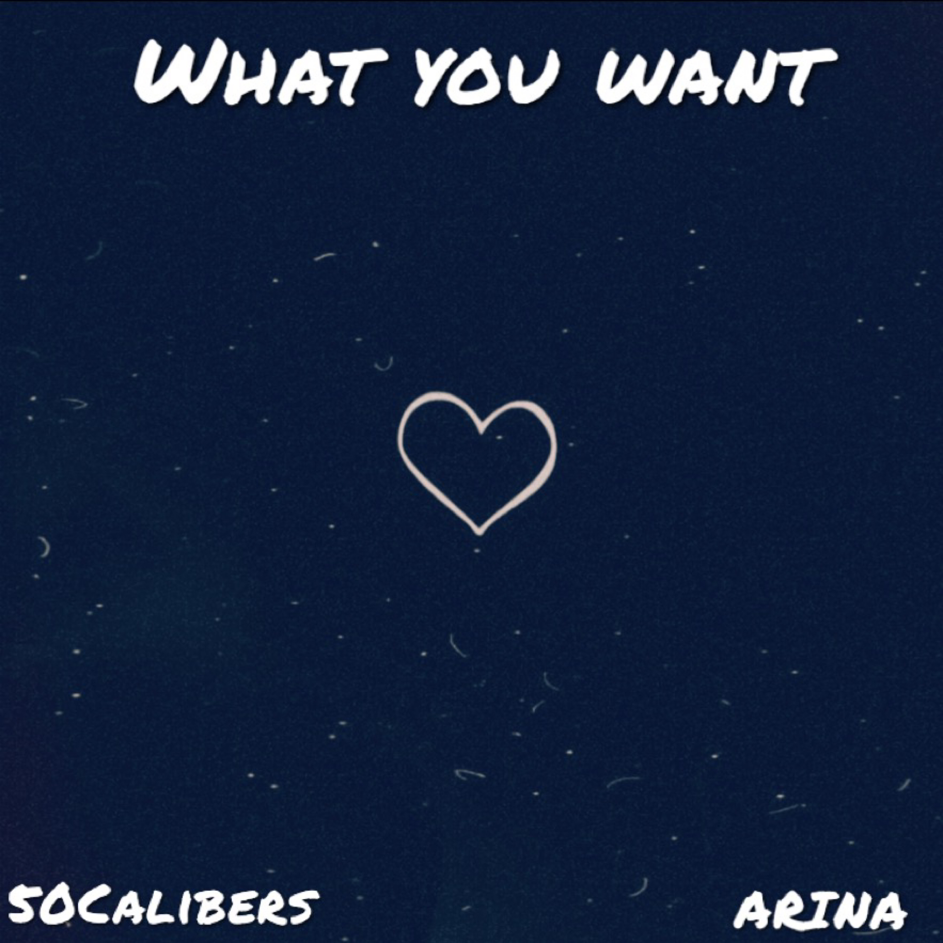 What You Want artwork