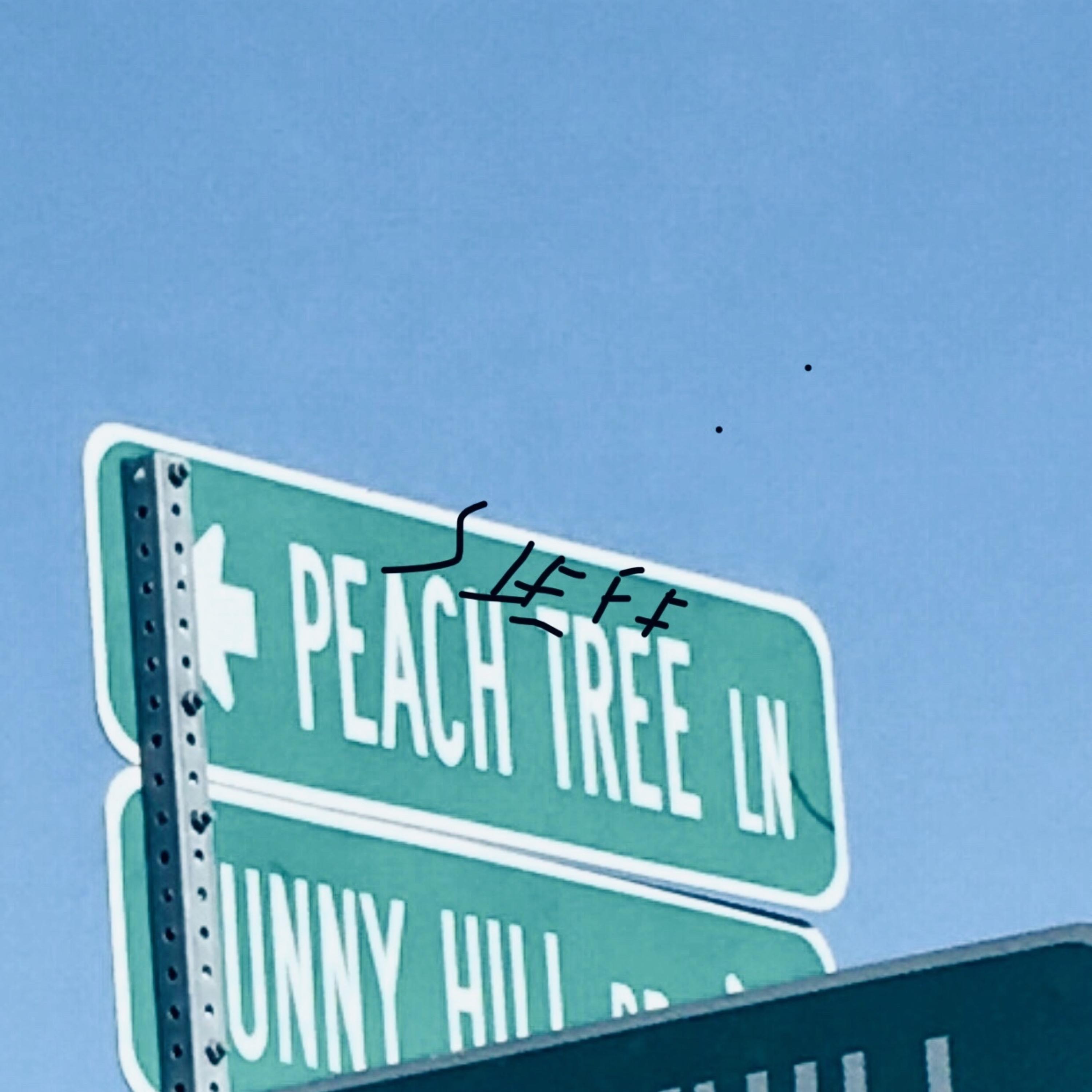 Ride Or Die Mrs.Peachtree Queen artwork