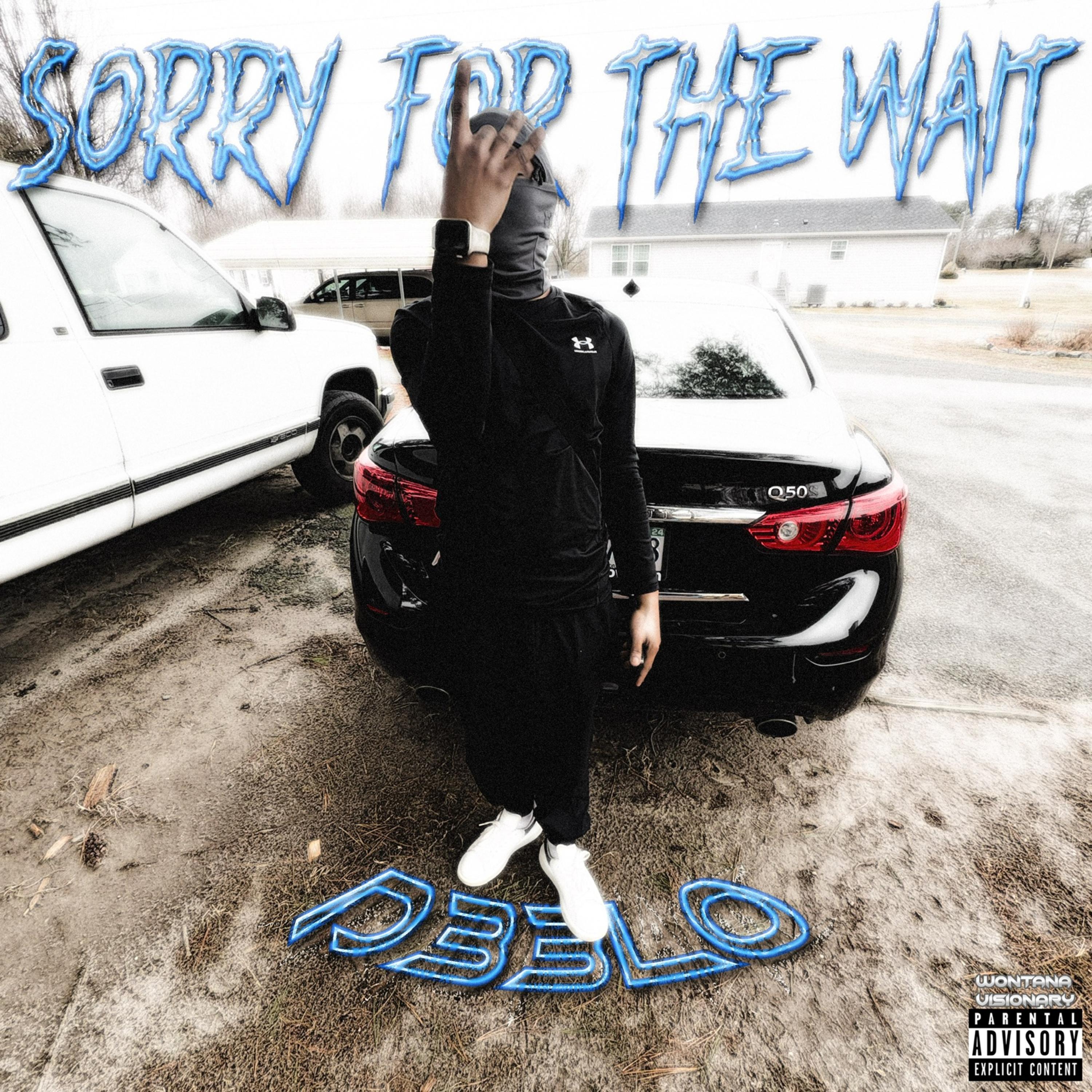 sorry for the wait artwork