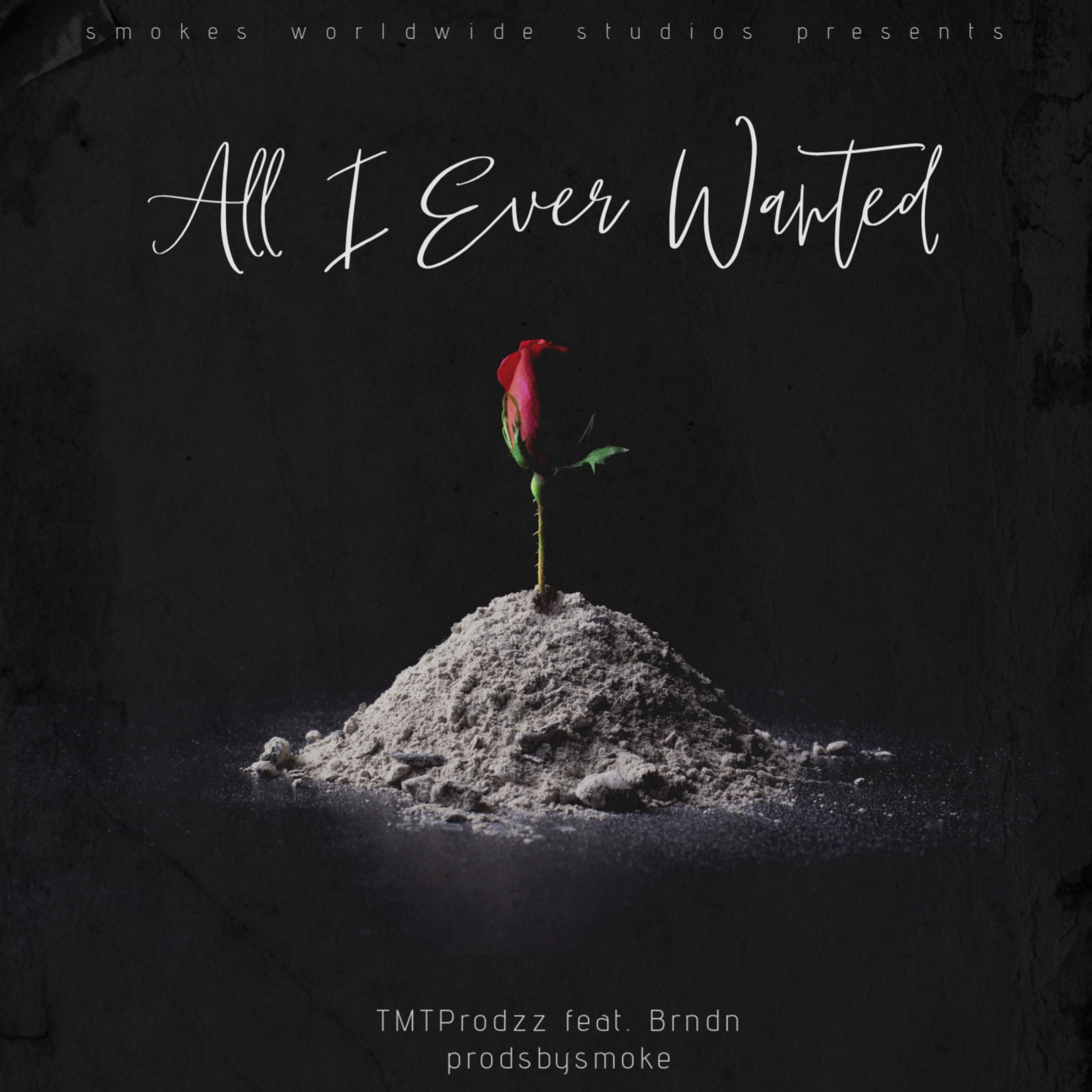 All I Ever Wanted artwork