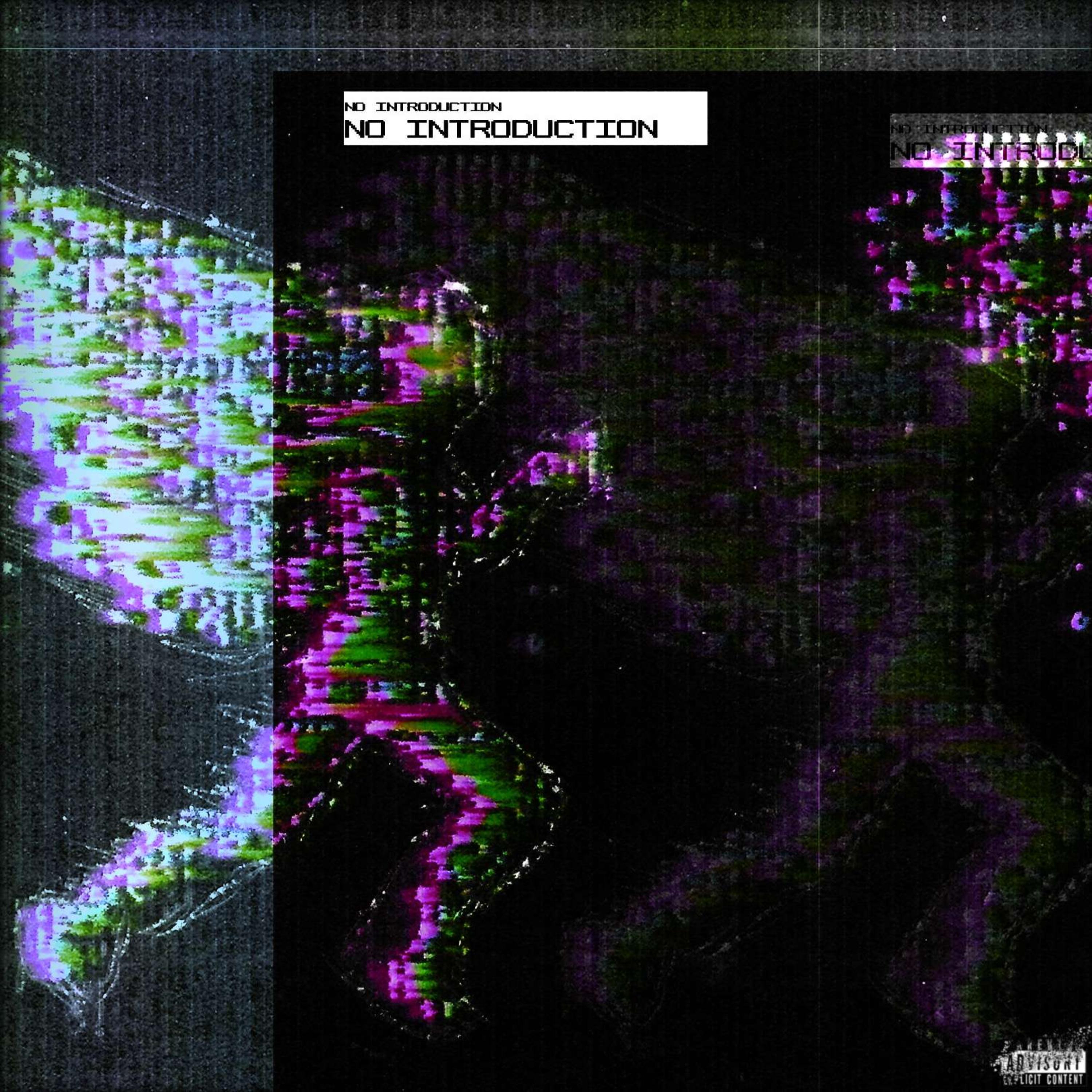 NO INTRODUCTION  artwork