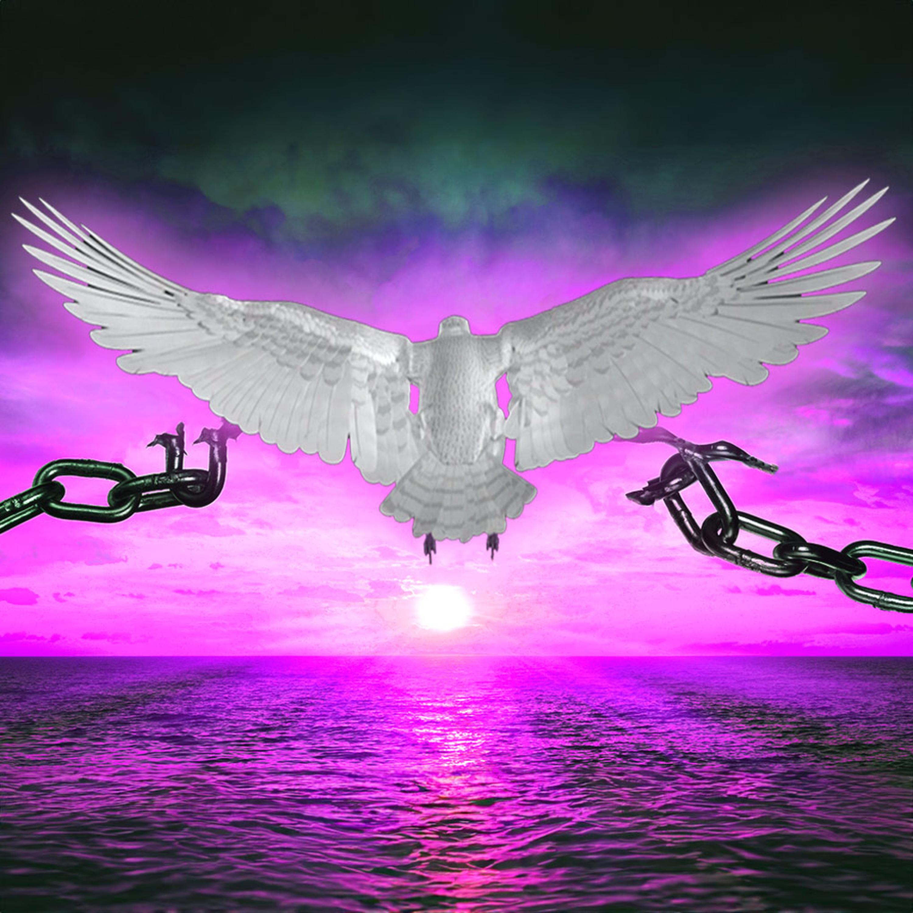 Freedom Meditation artwork