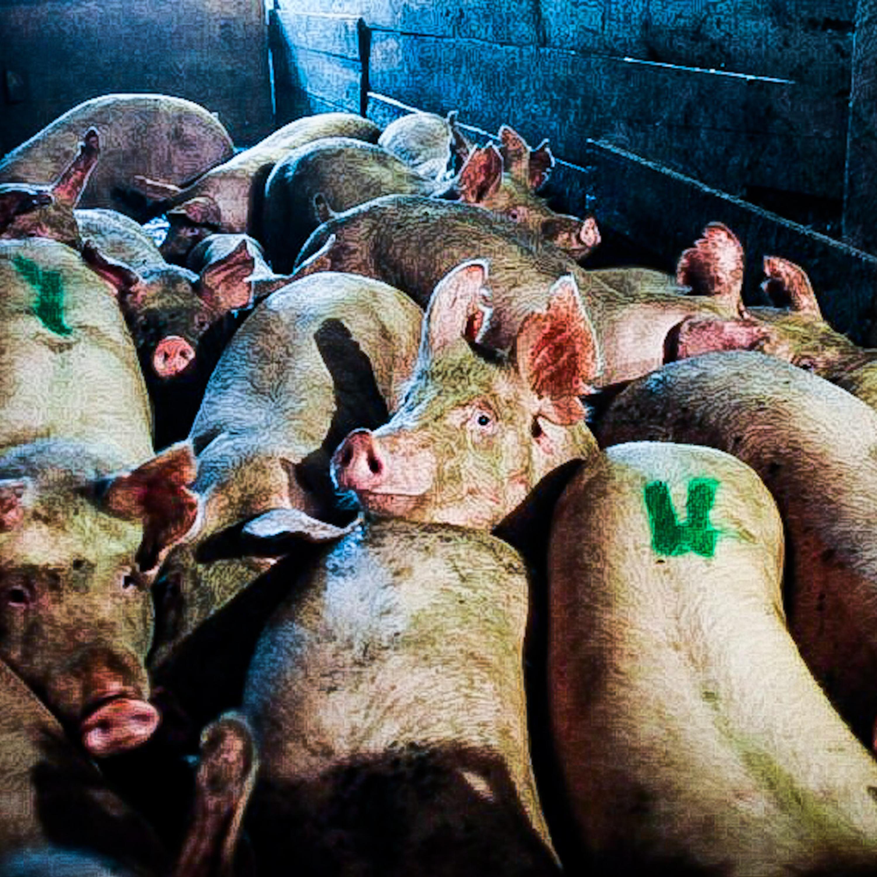 Slaughterhouse artwork