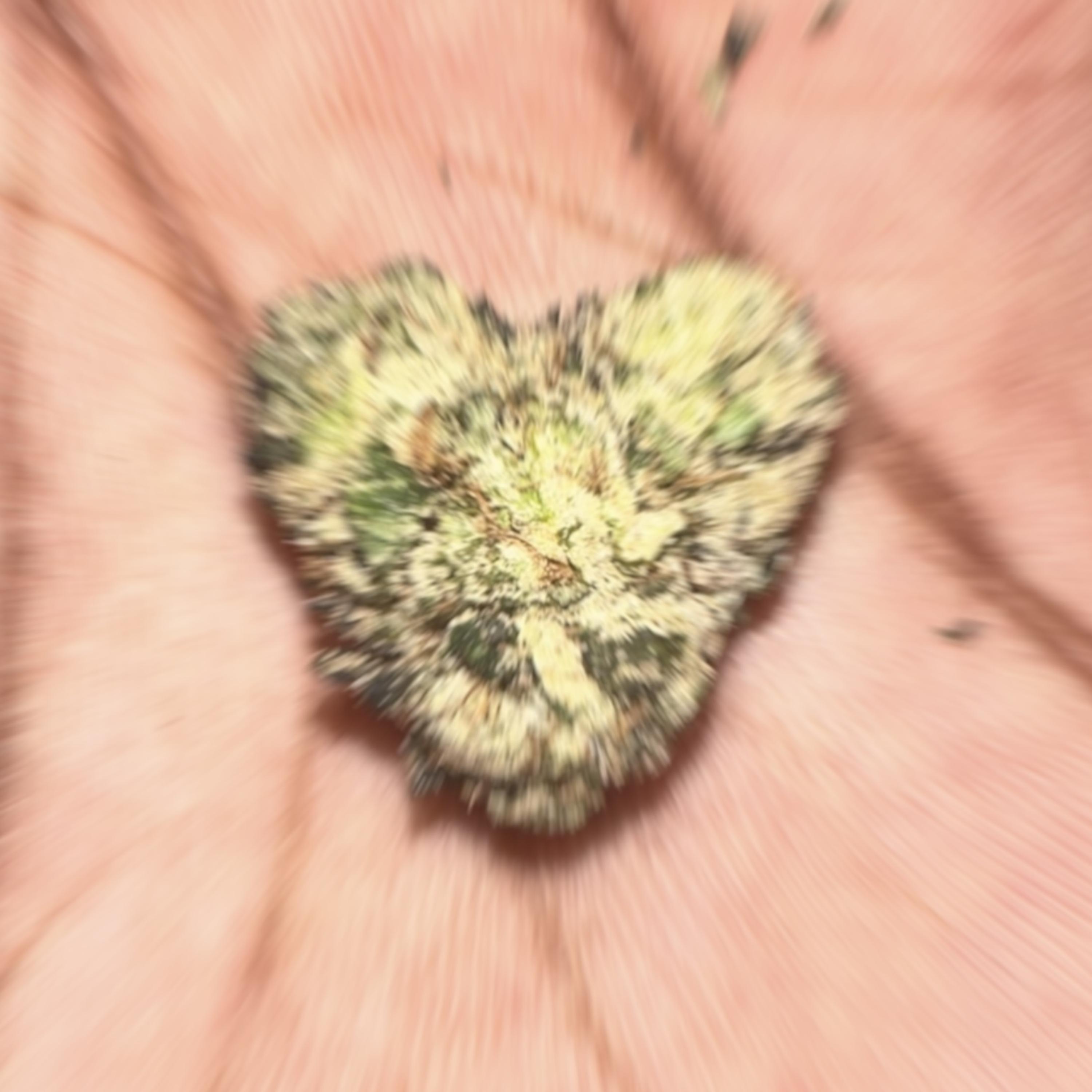 Vibrations artwork