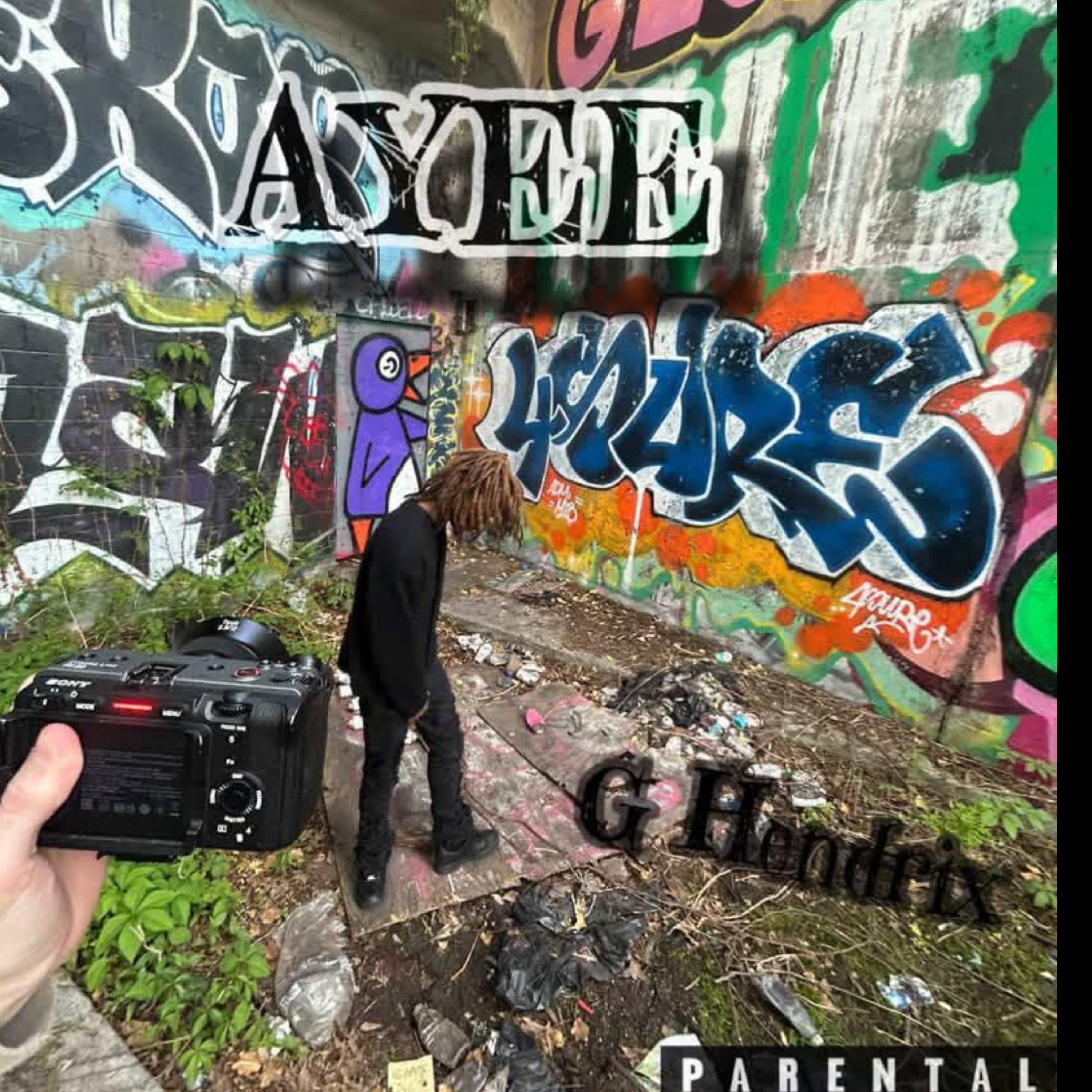 AYEE artwork