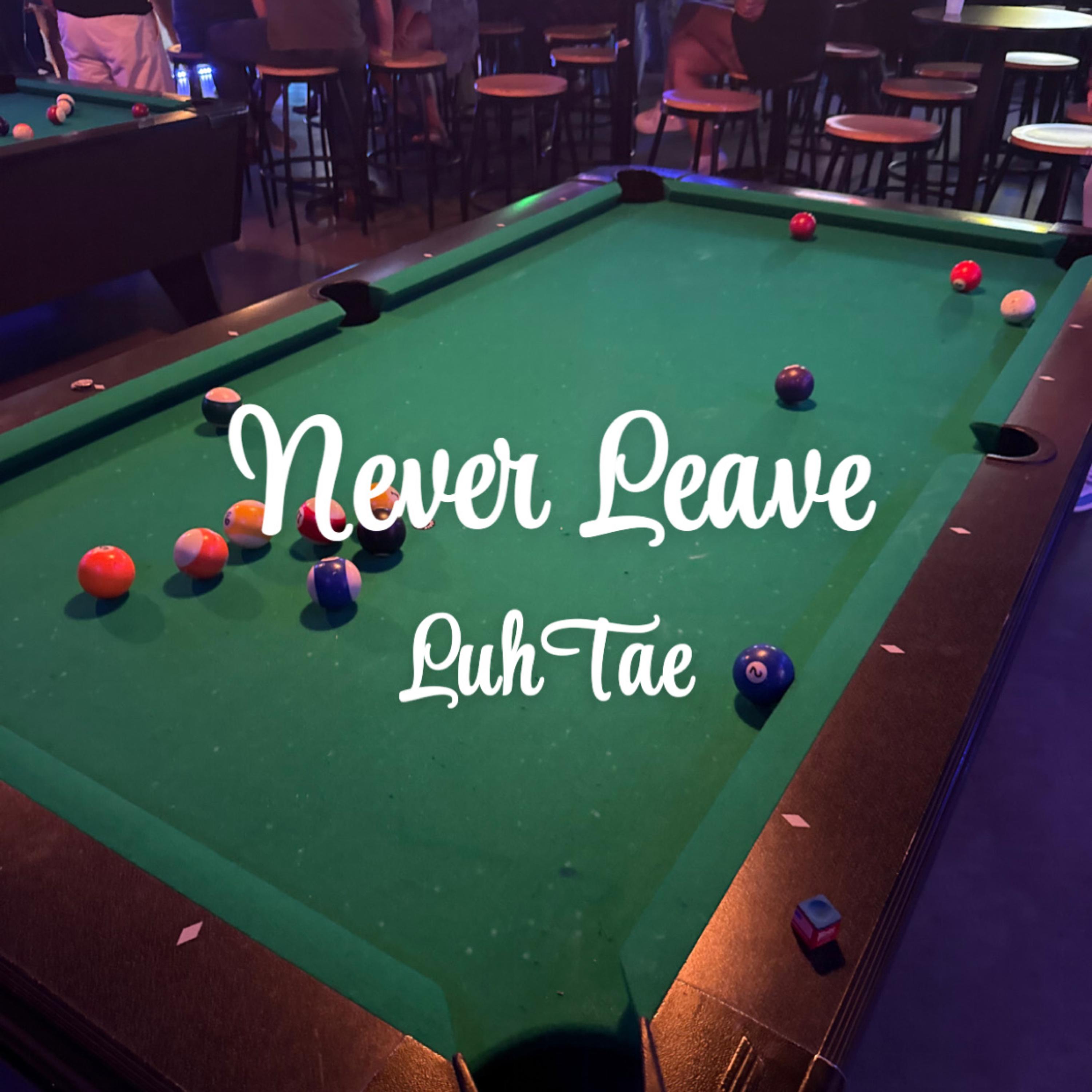 Never Leave artwork