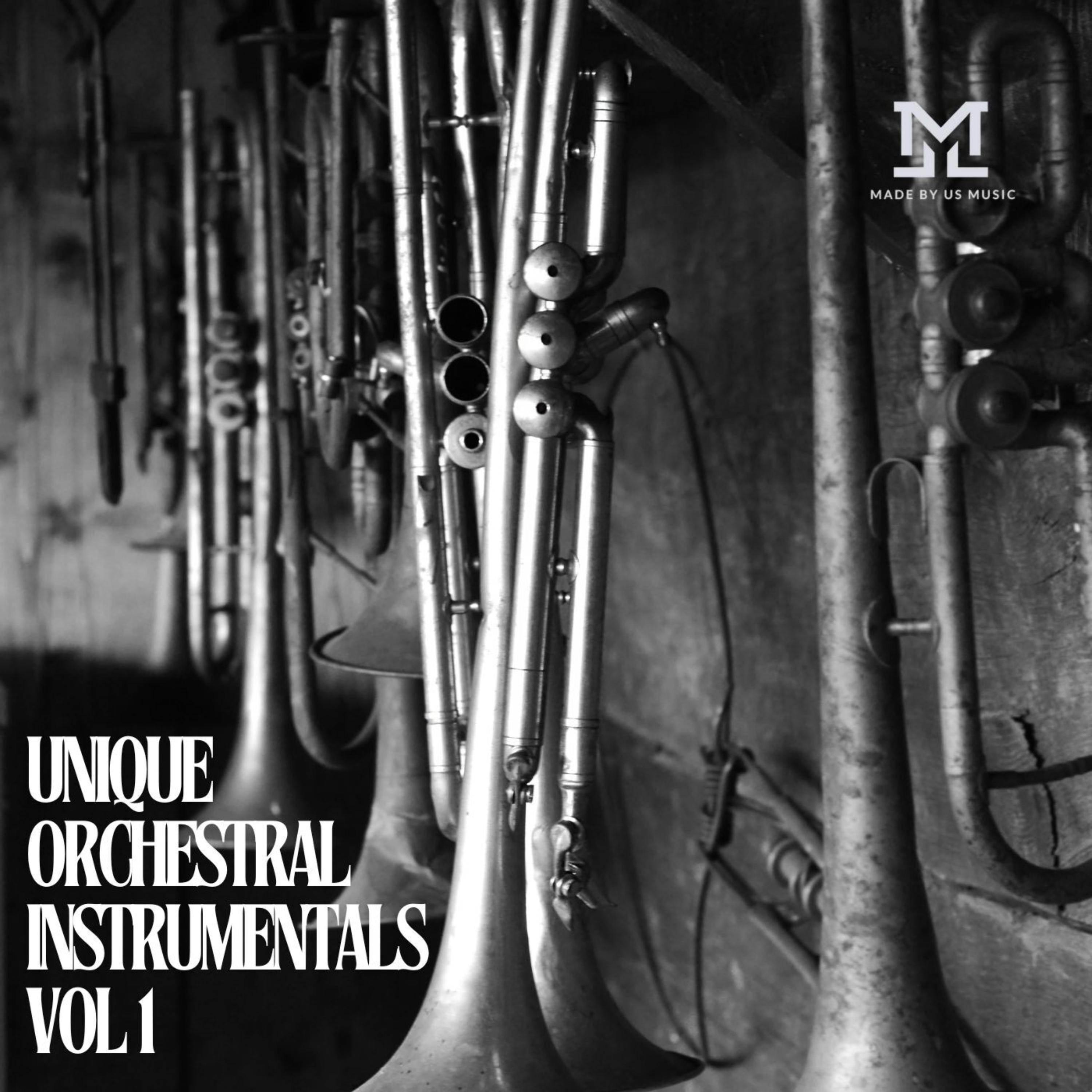 Unique Orchestral Instrumentals Vol 1 artwork