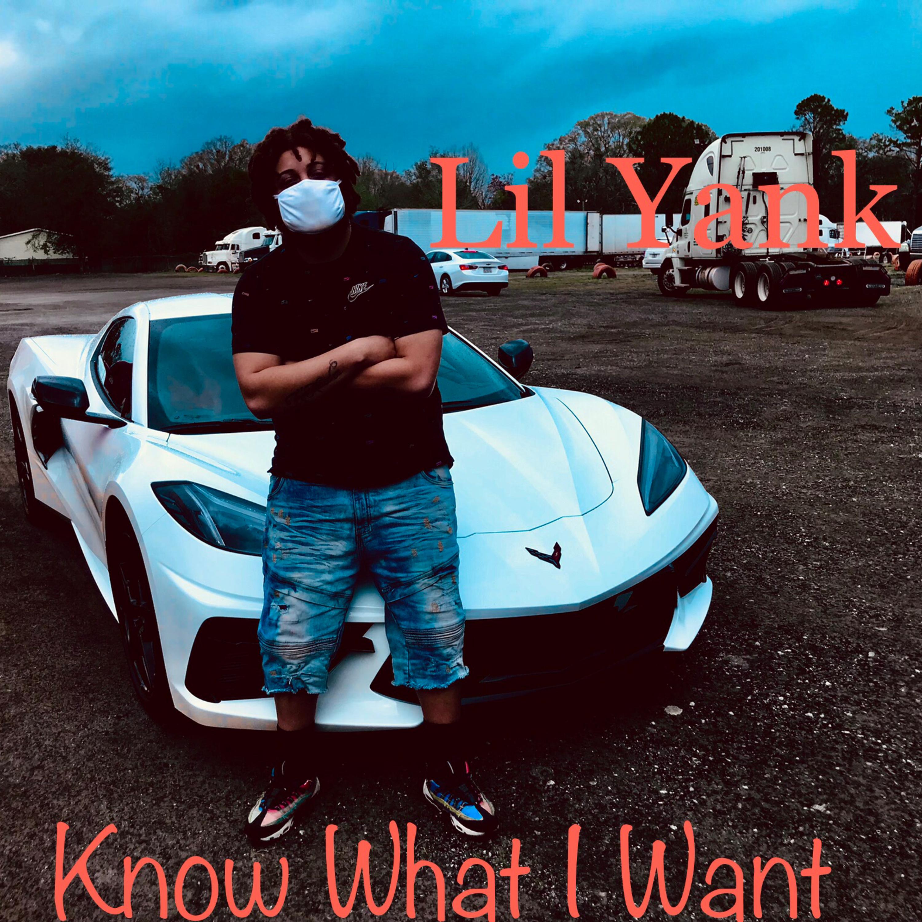 Know What I Want artwork
