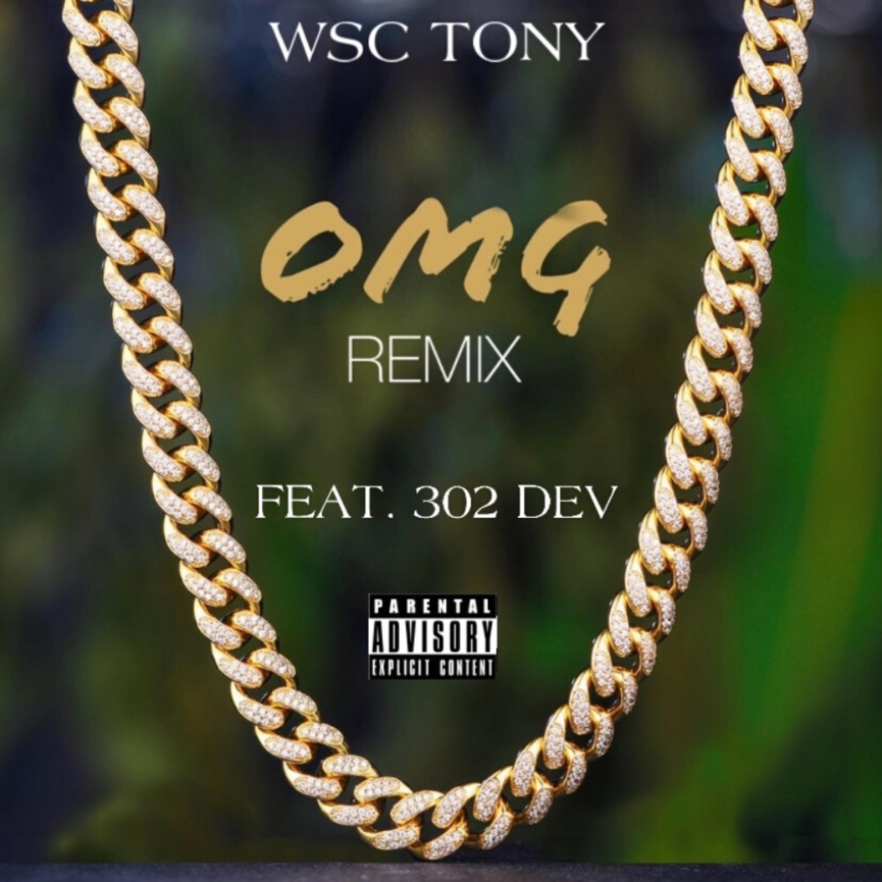 OMG [Remix] artwork