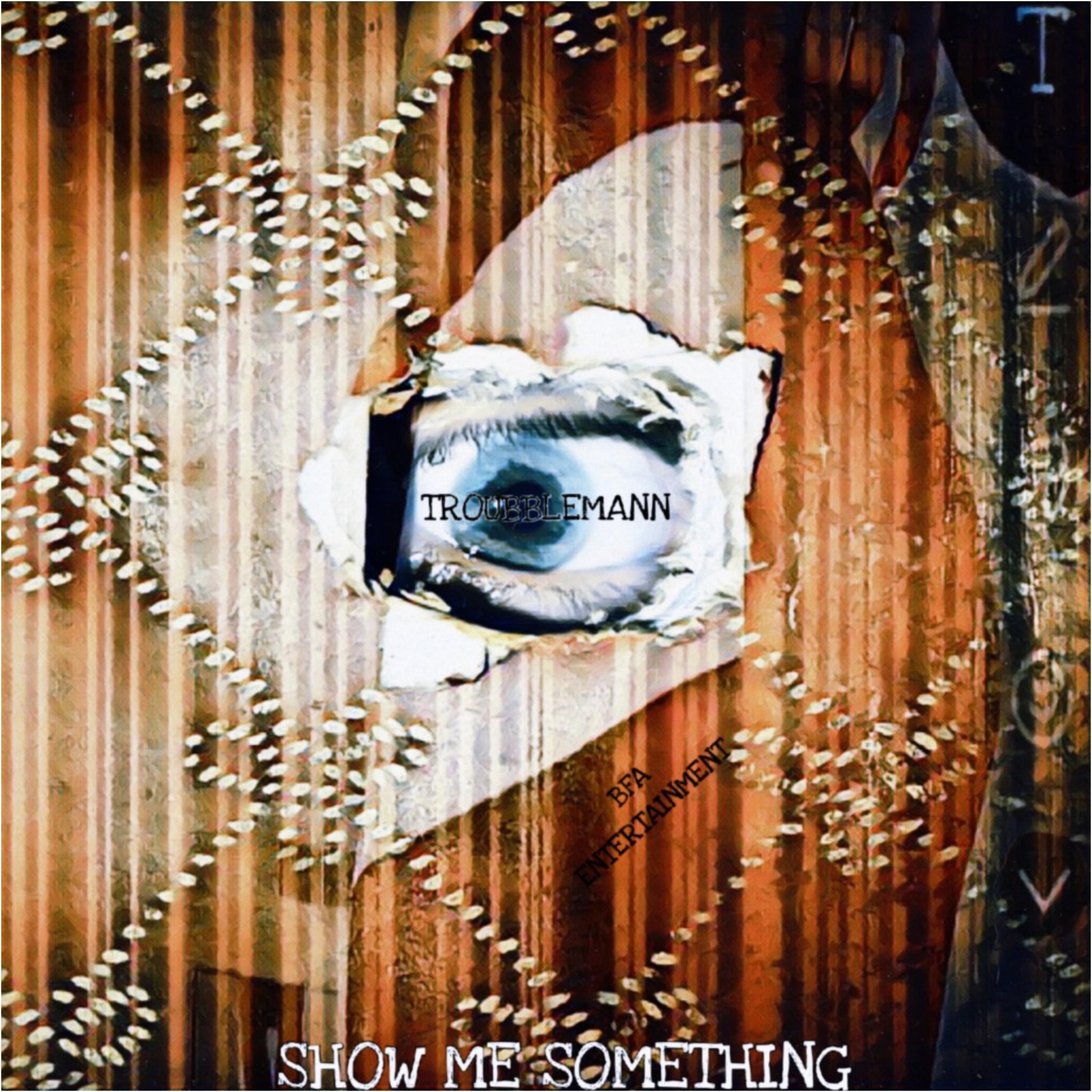 Show me Something artwork