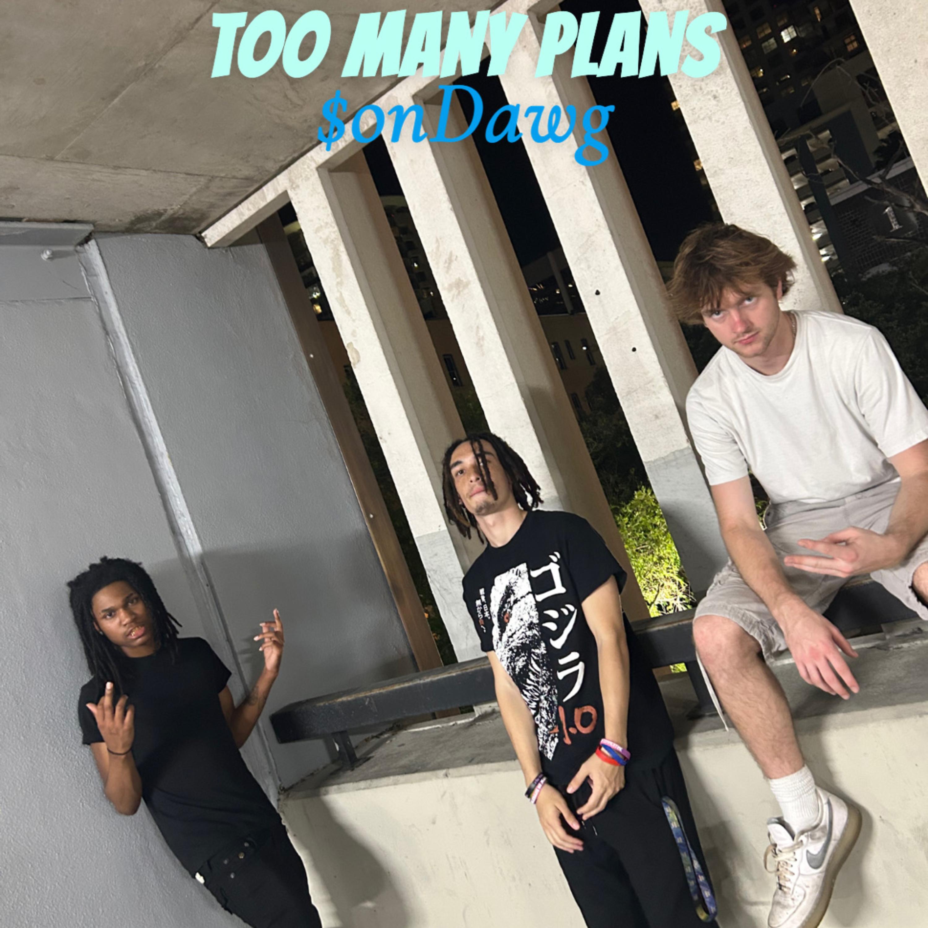 Too Many Plans artwork