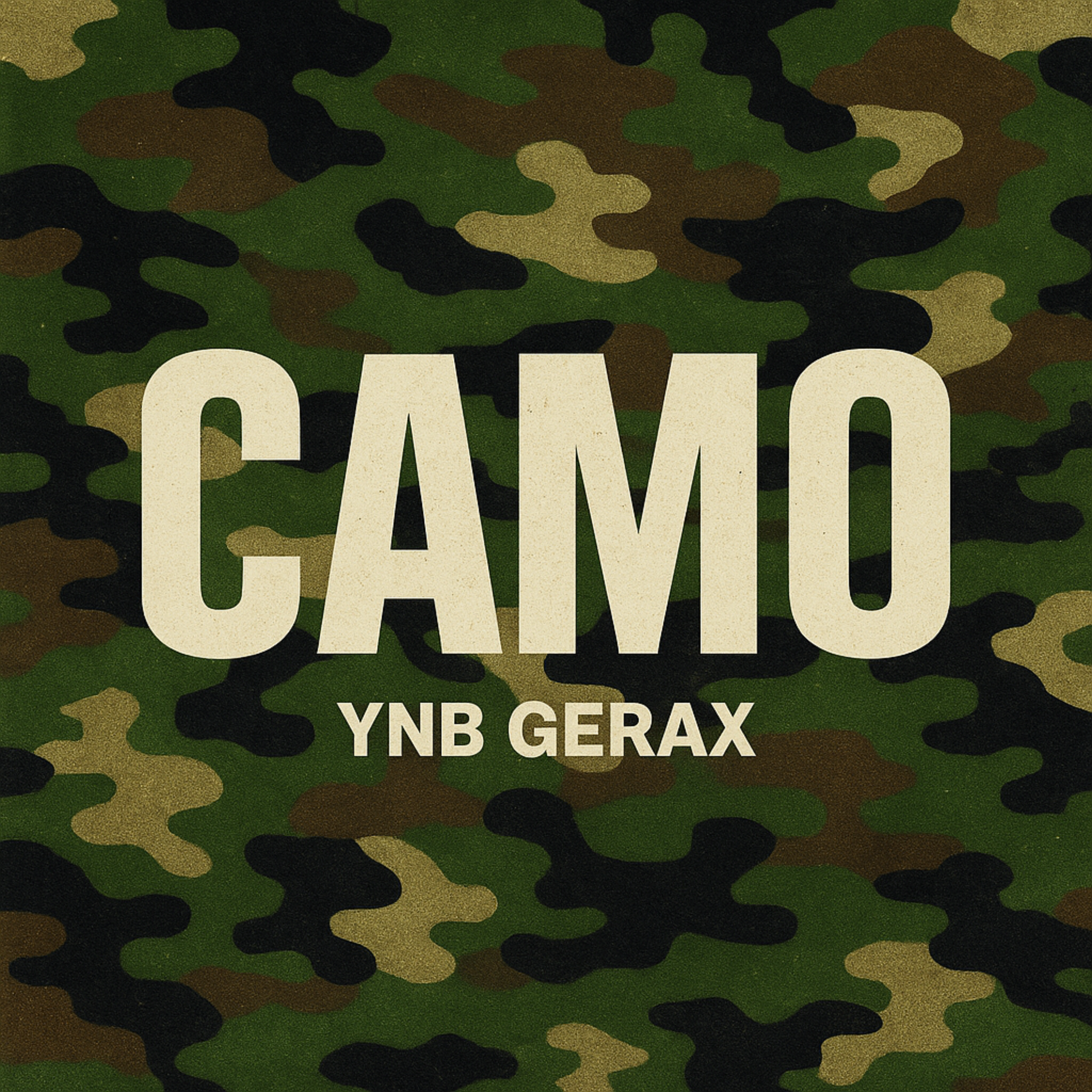 Camo artwork