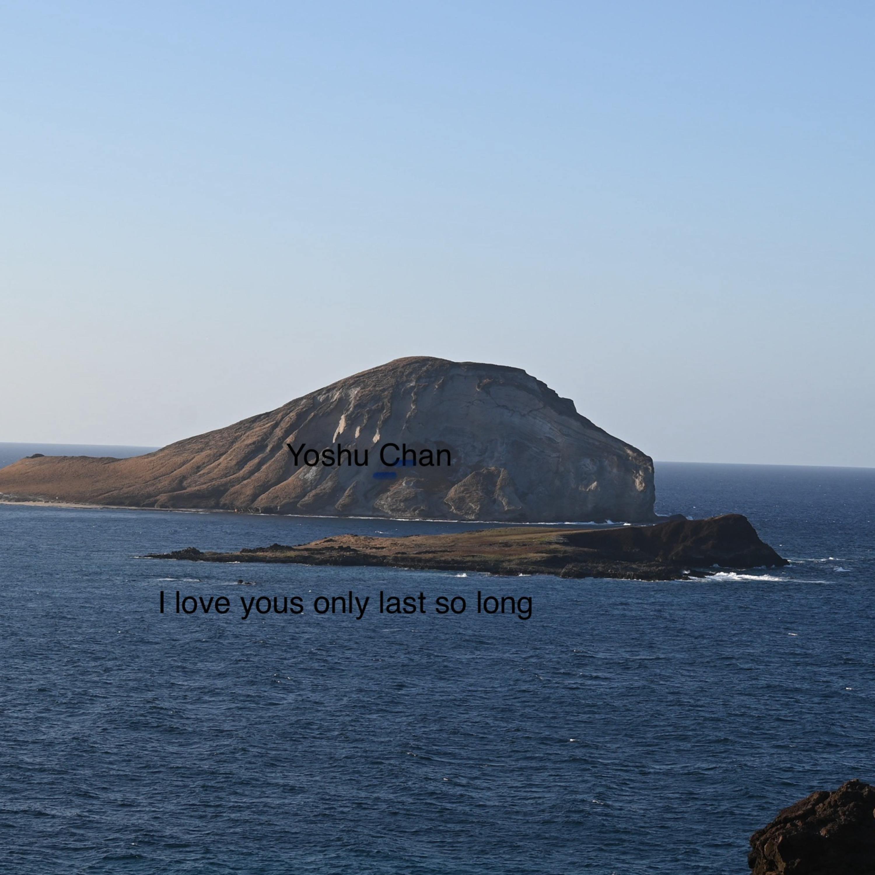 I Love Yous Only Last So Long artwork