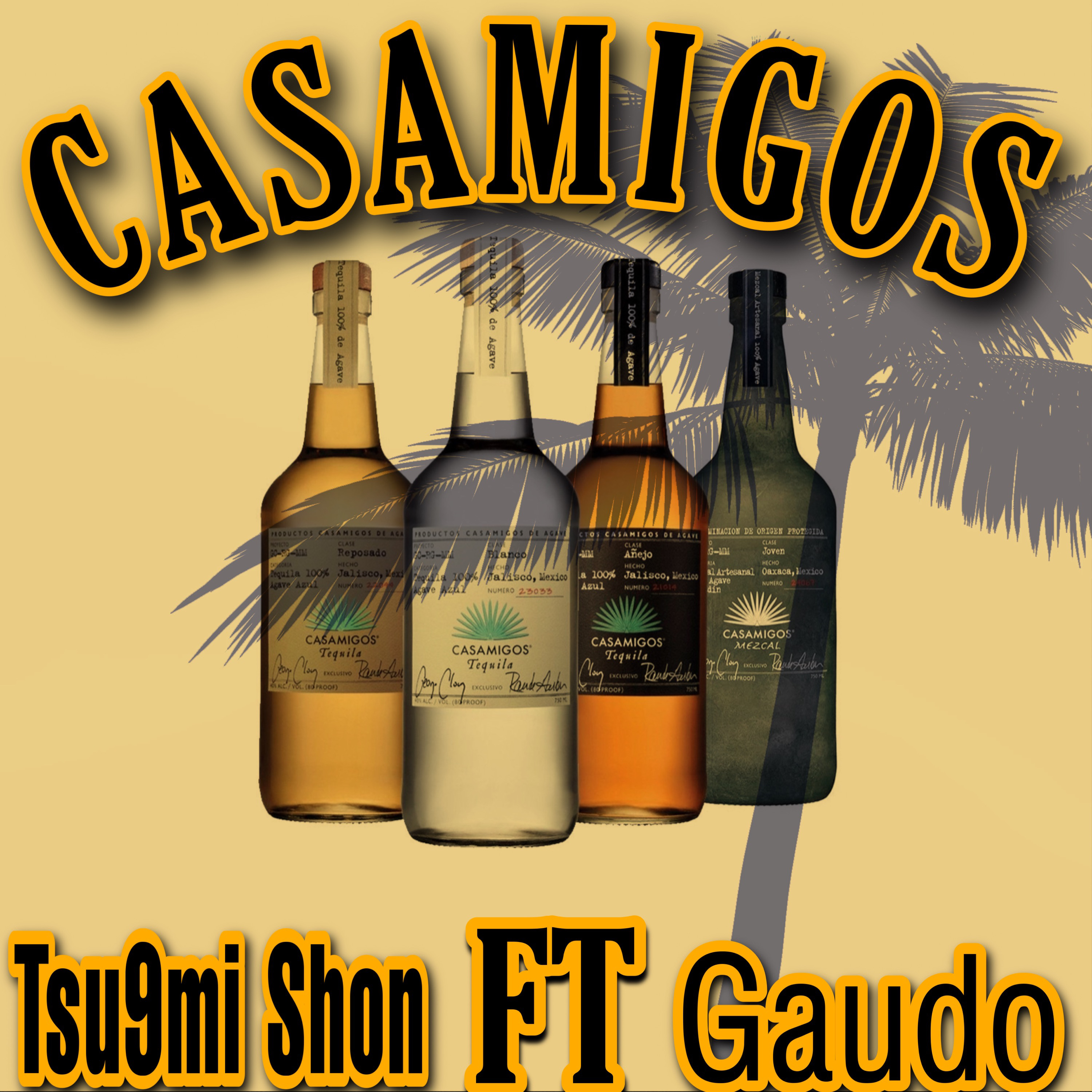 CASAMIGOS artwork