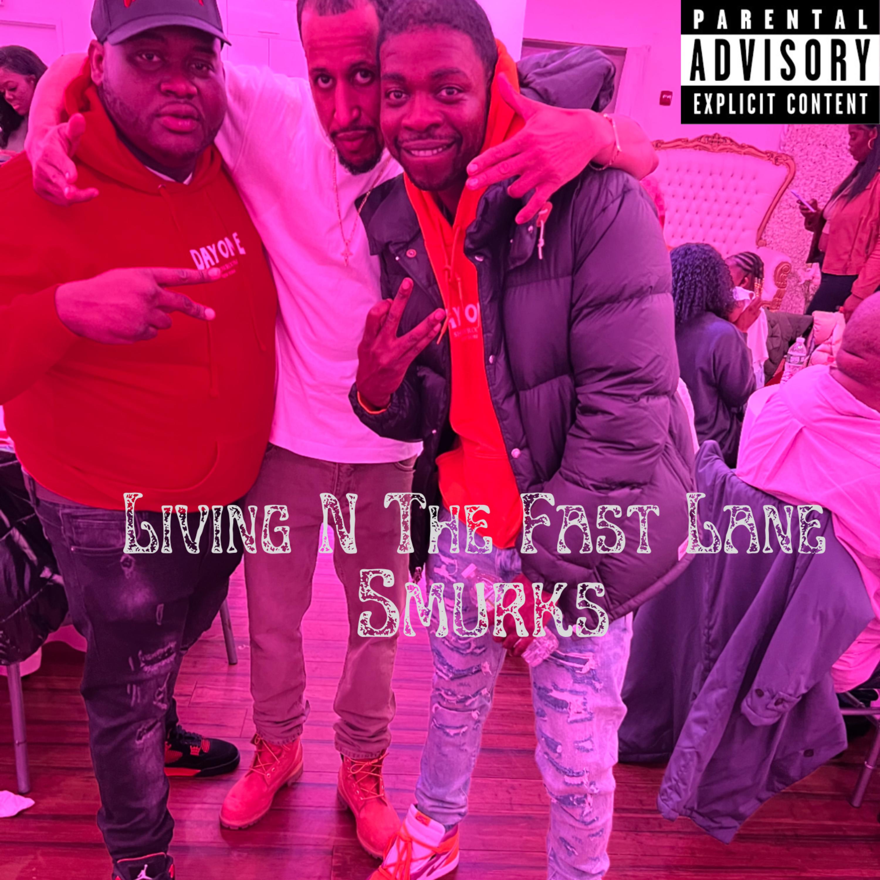 Living N The Fast Lane artwork