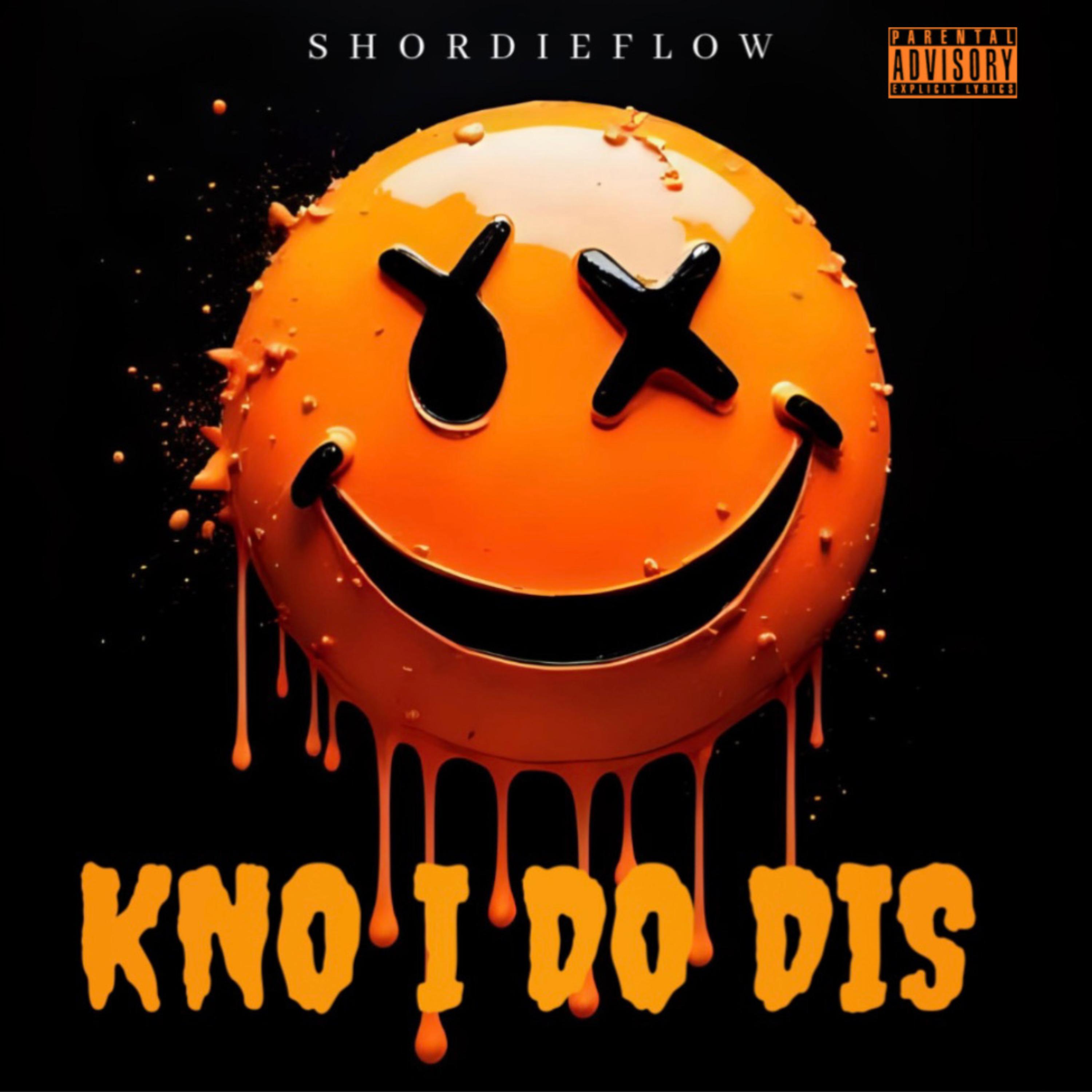 KNO I DO DIS artwork