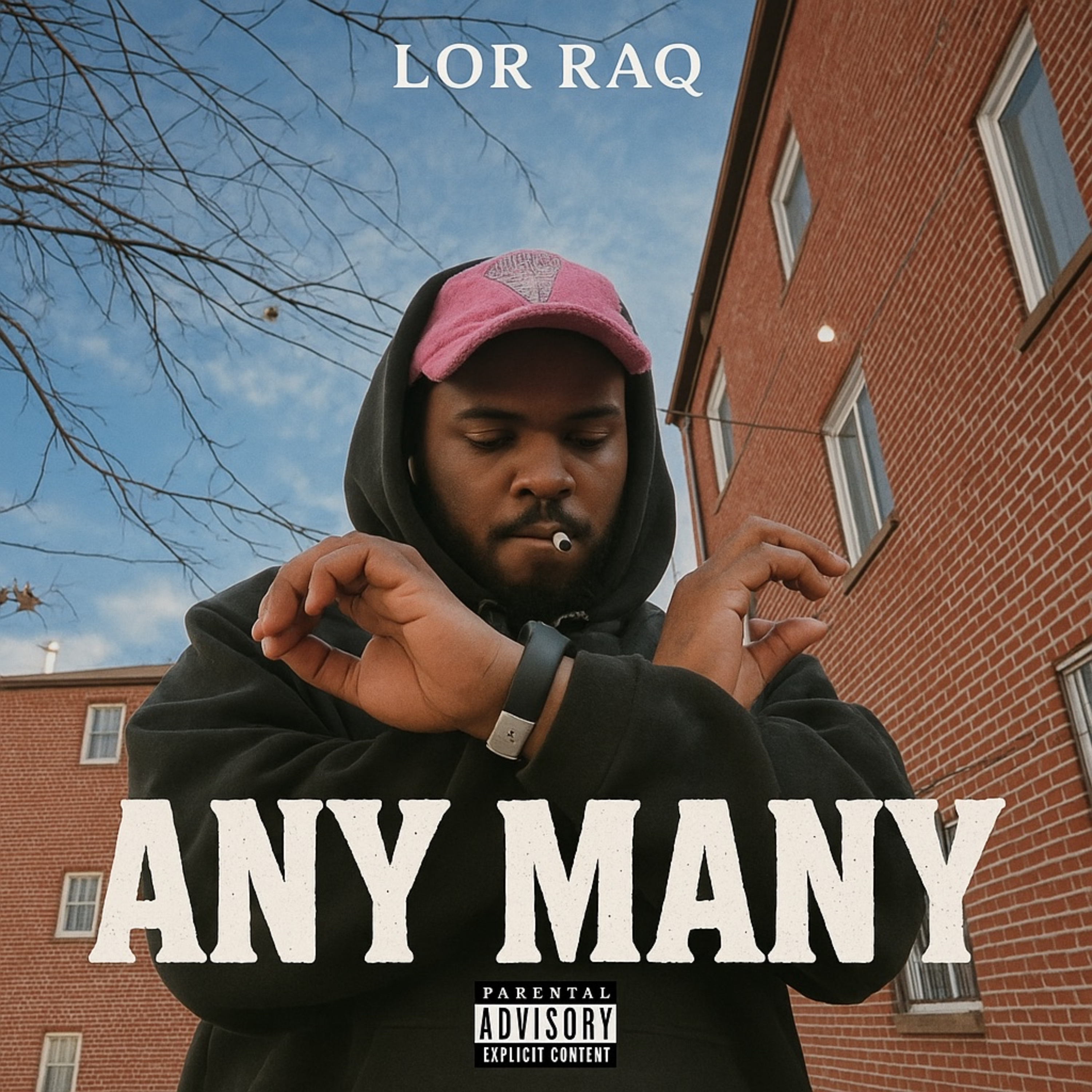 Any Many artwork