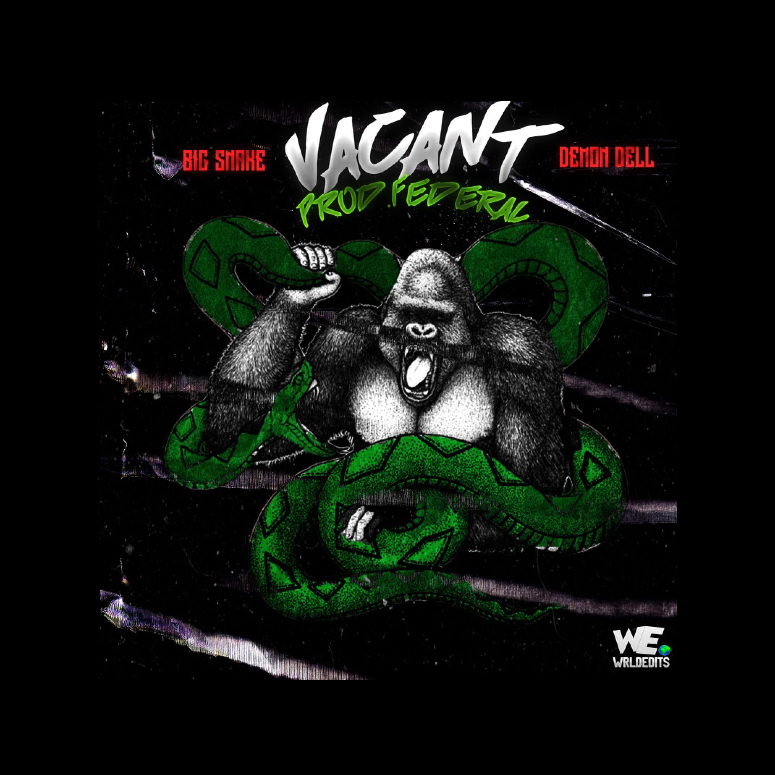 Vacant by Big Snake cover art