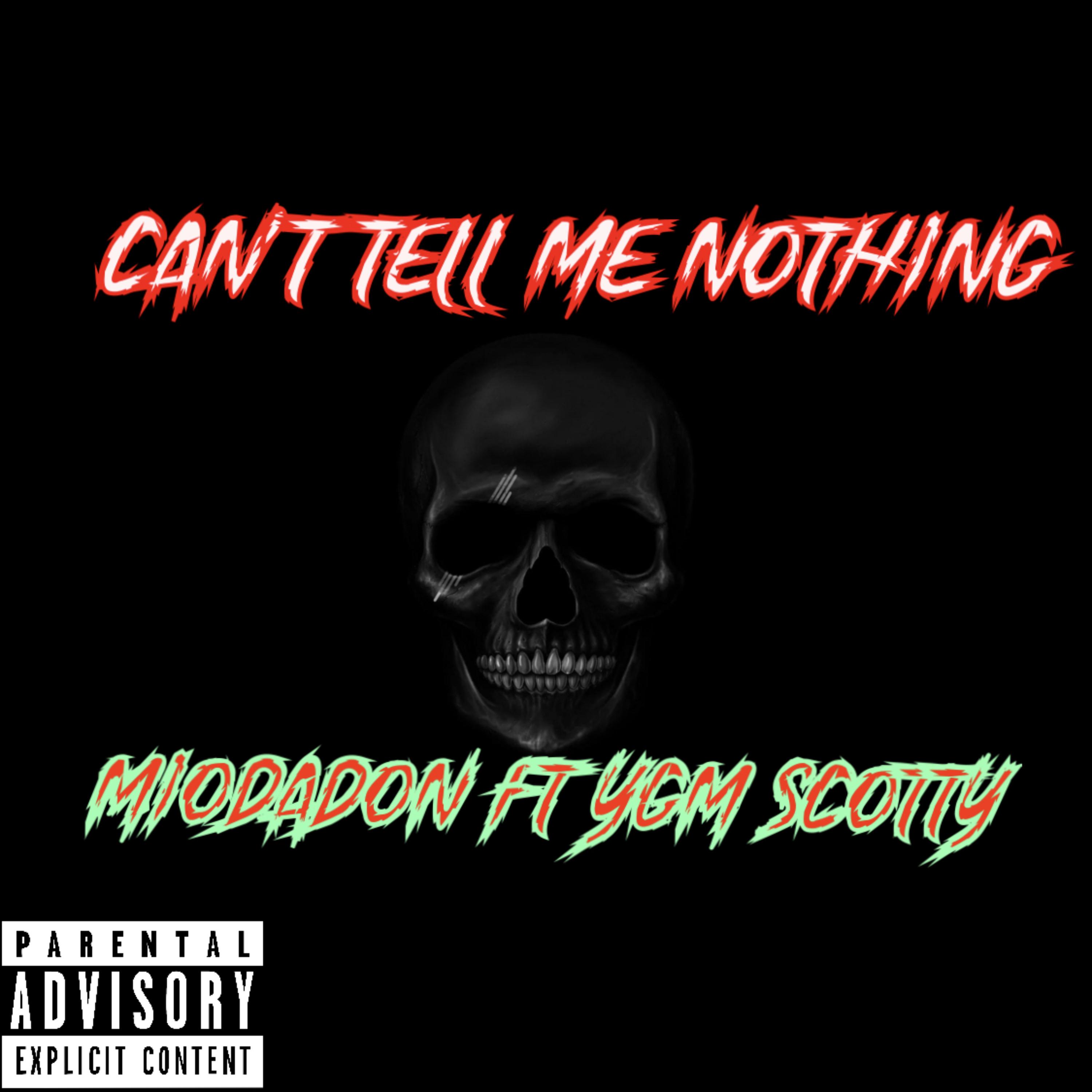 Cant Tell Me Nothing artwork