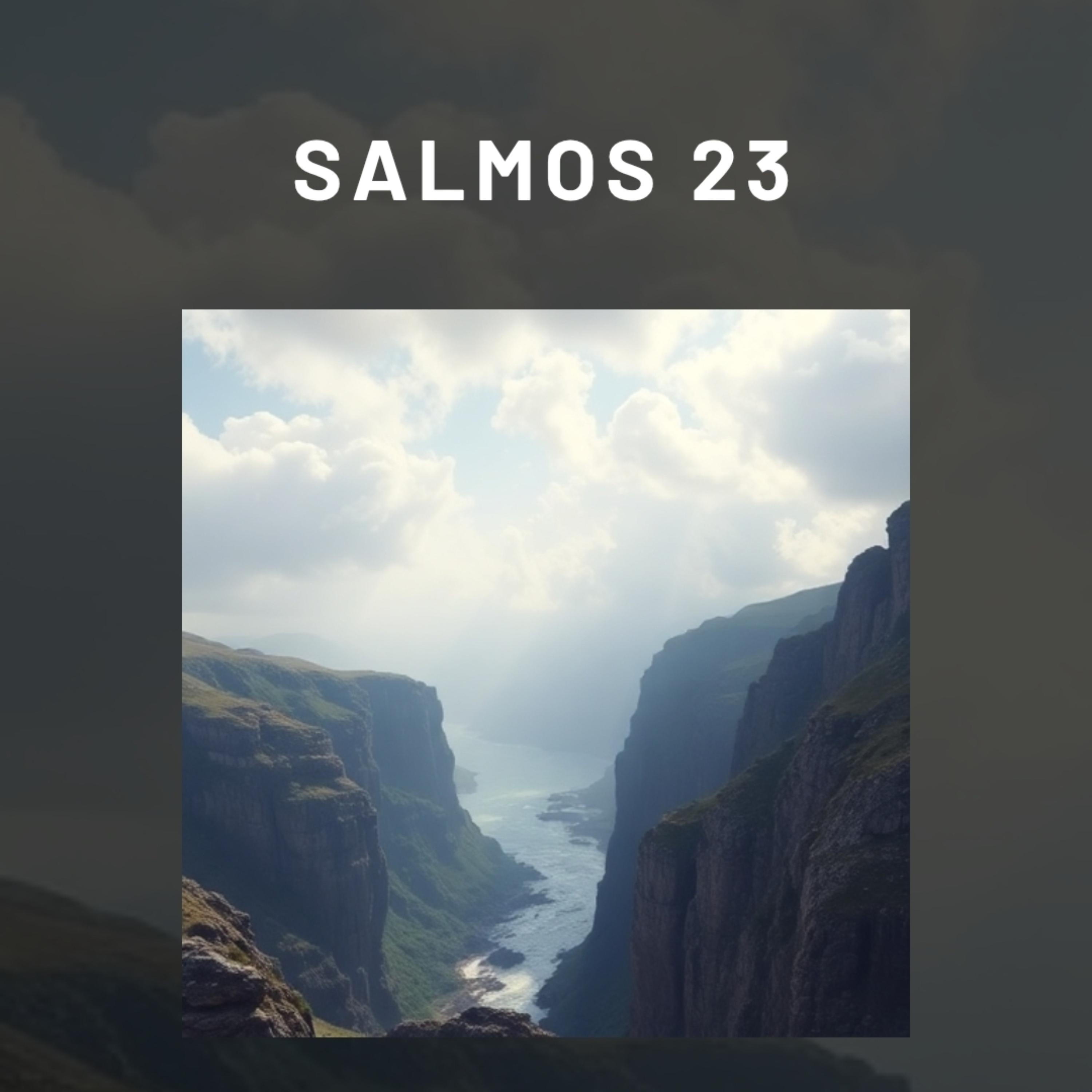 SALMOS 23 artwork