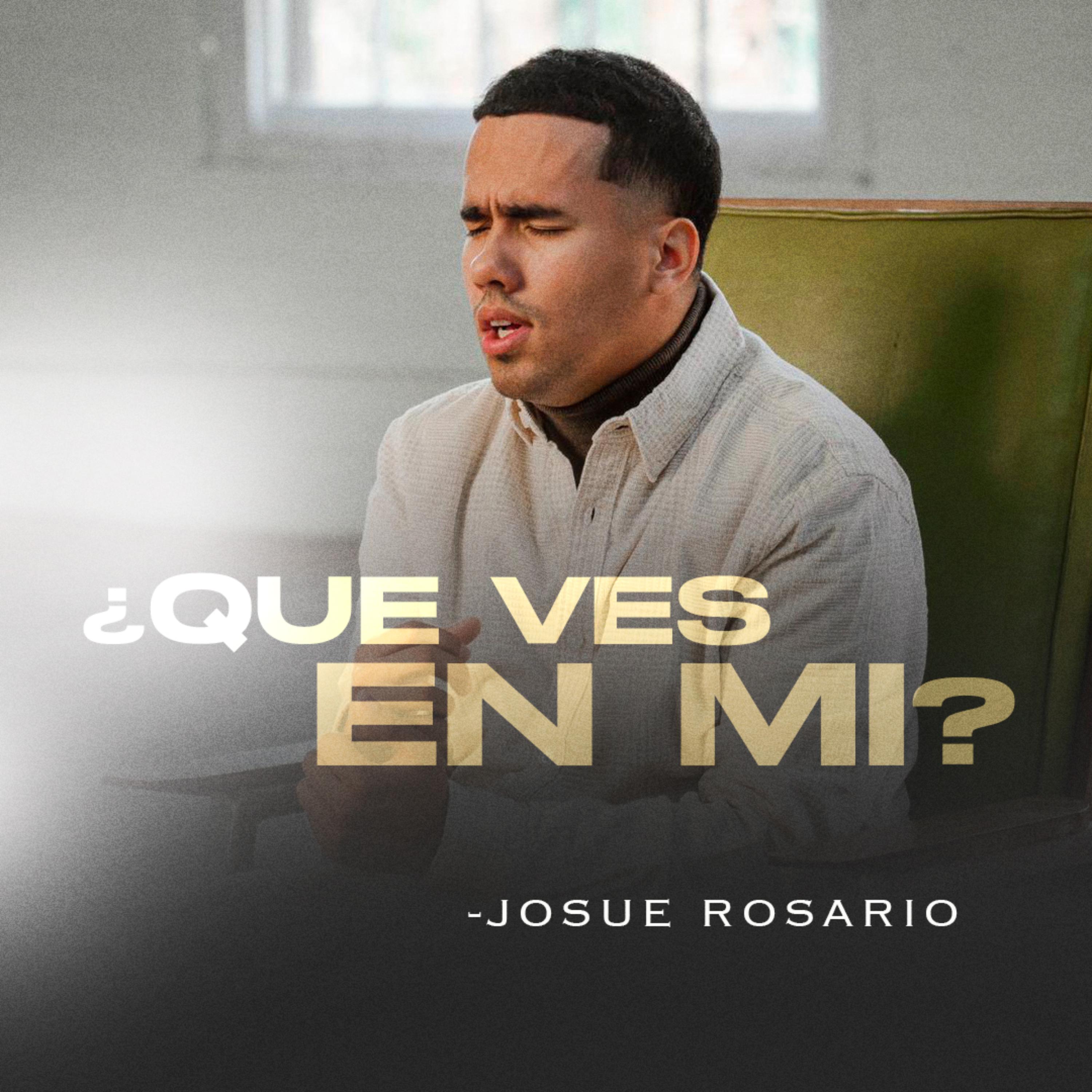 ¿Que Ves En Mi? artwork