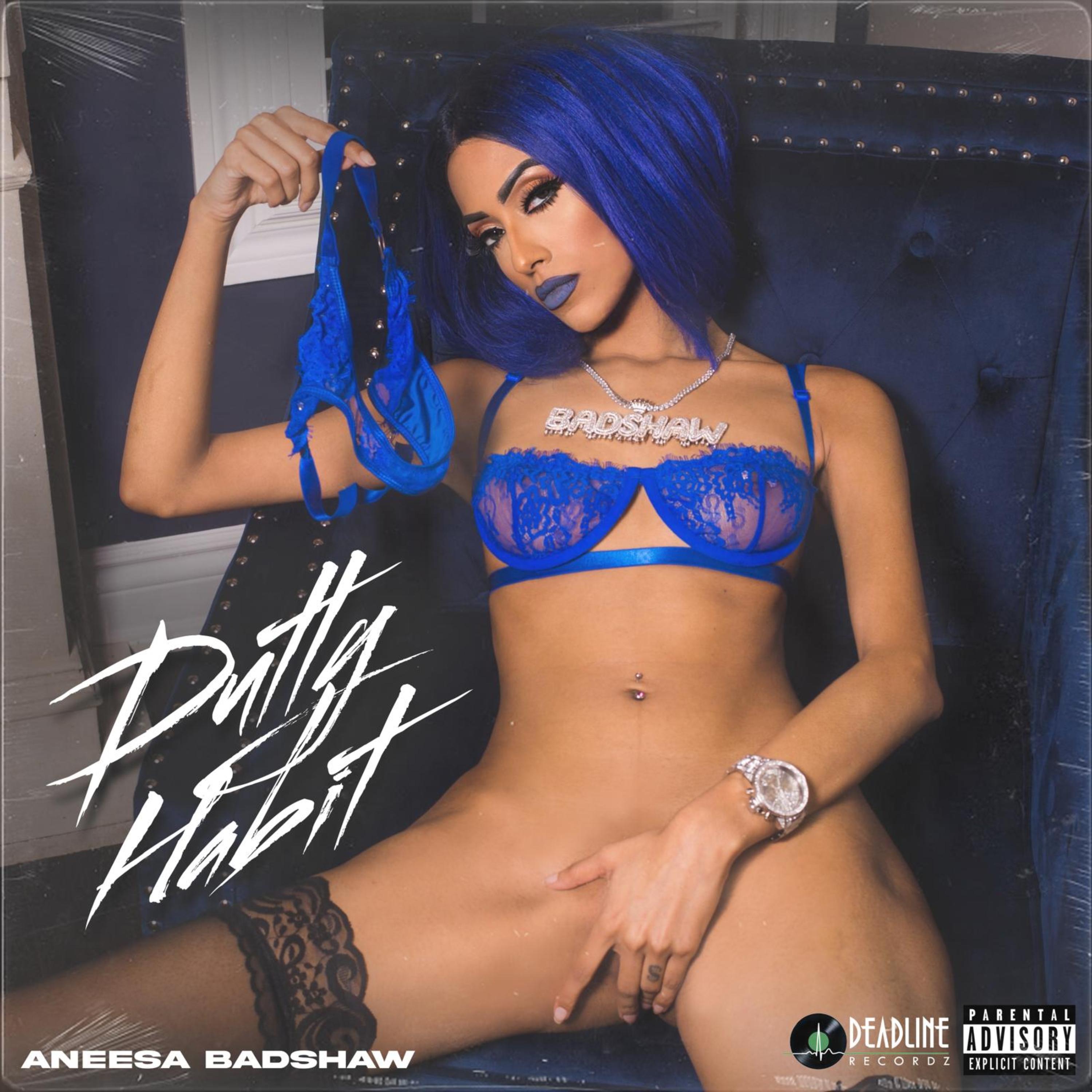 DUTTY HABIT artwork