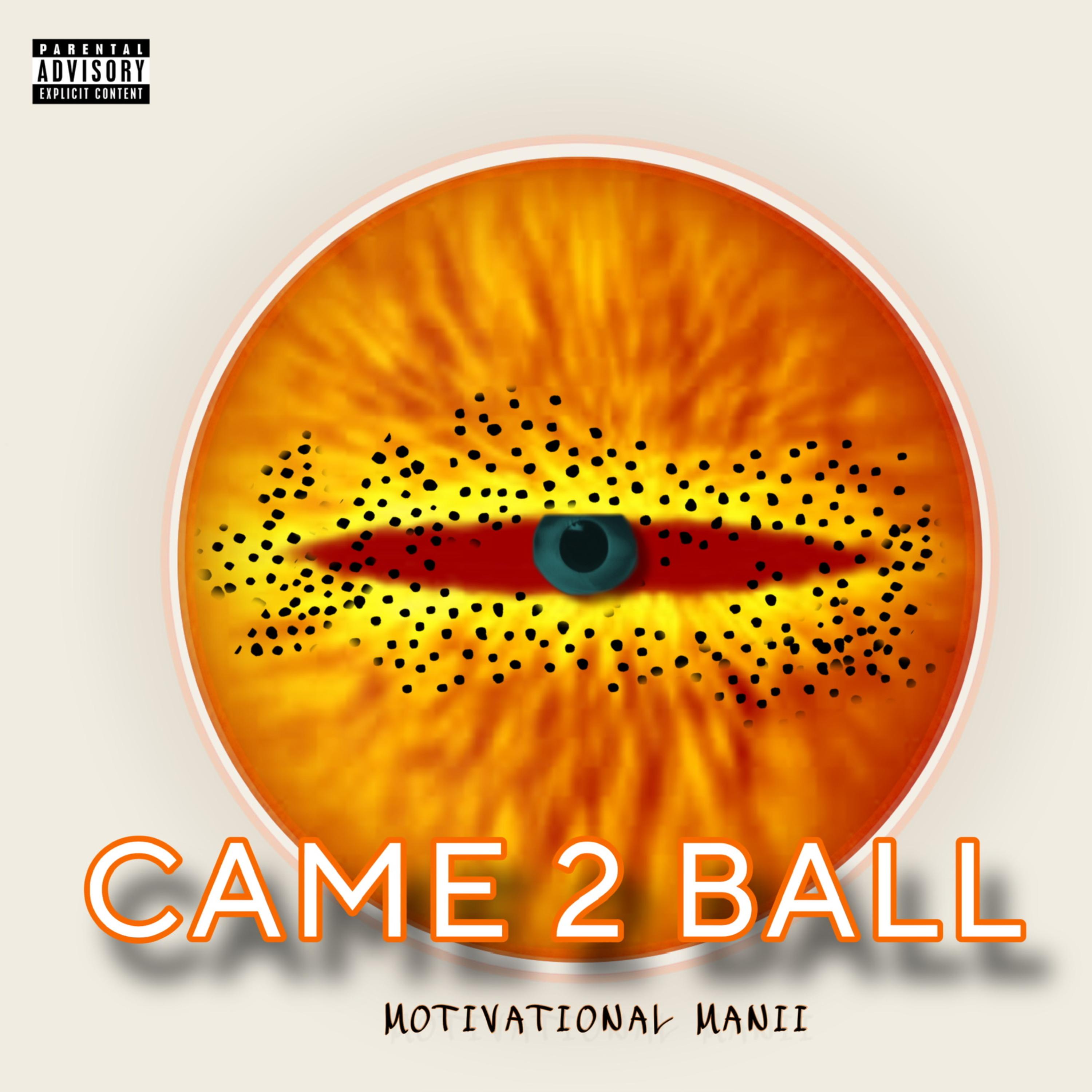 CAME 2 BALL artwork