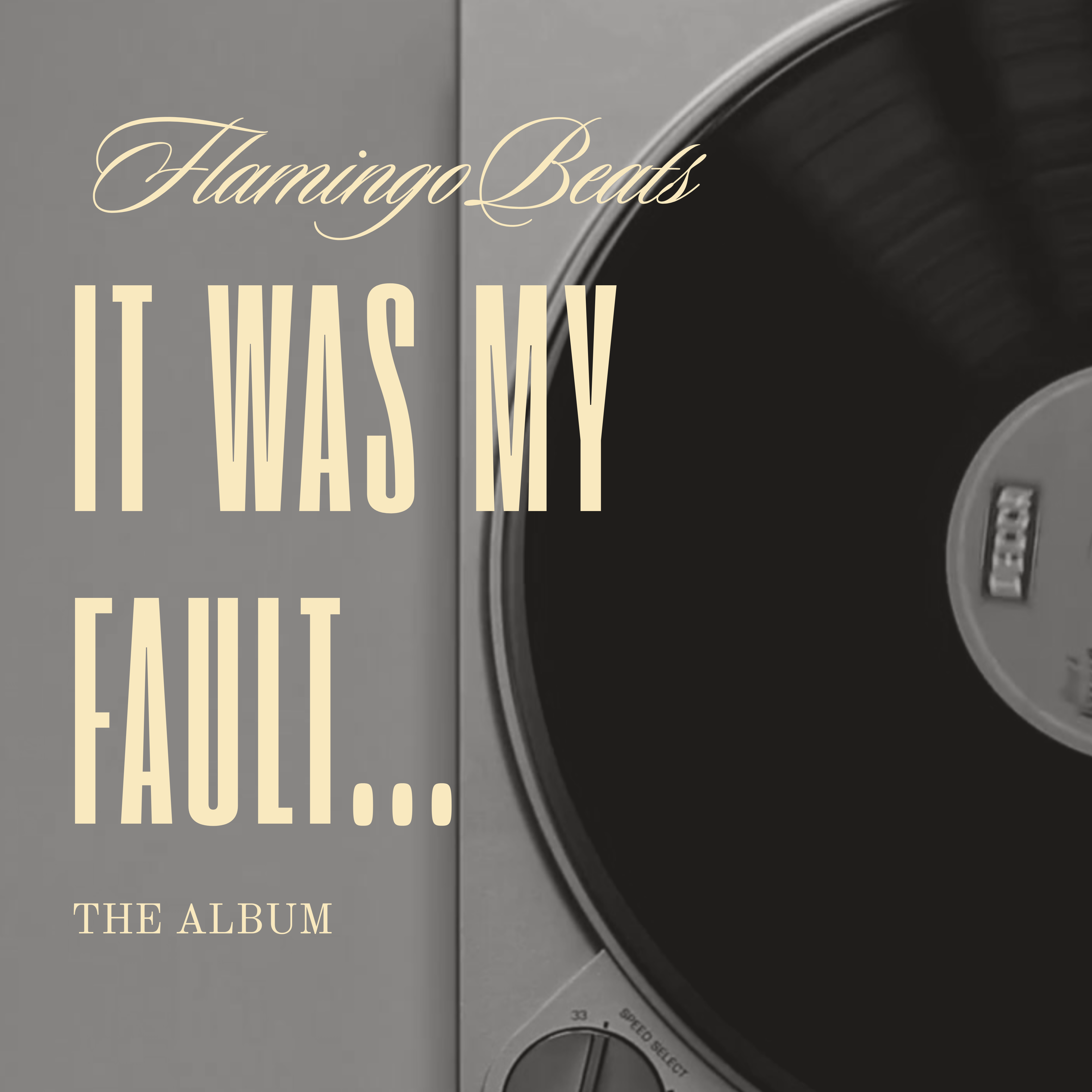 It Was My Fault... artwork