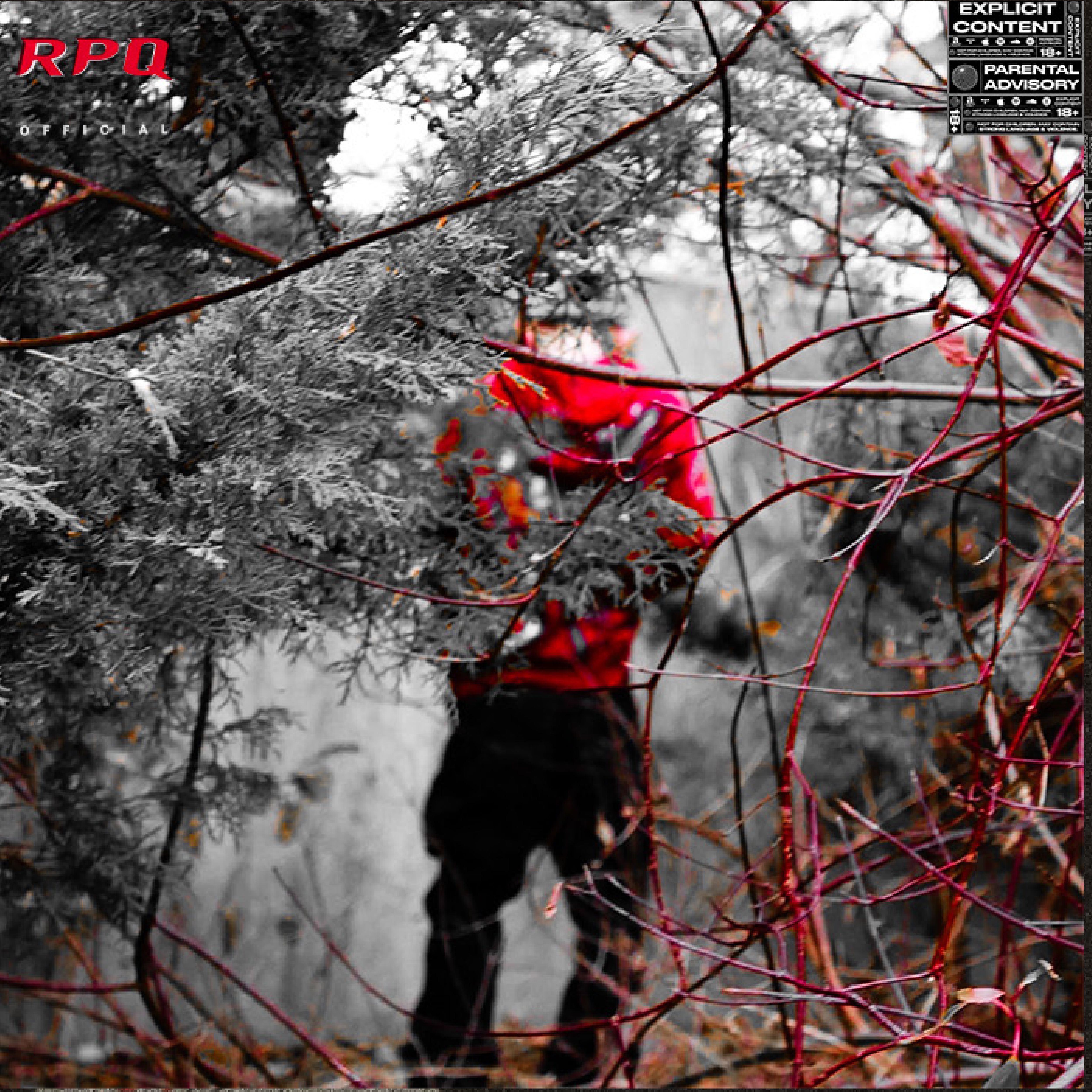 9INE artwork