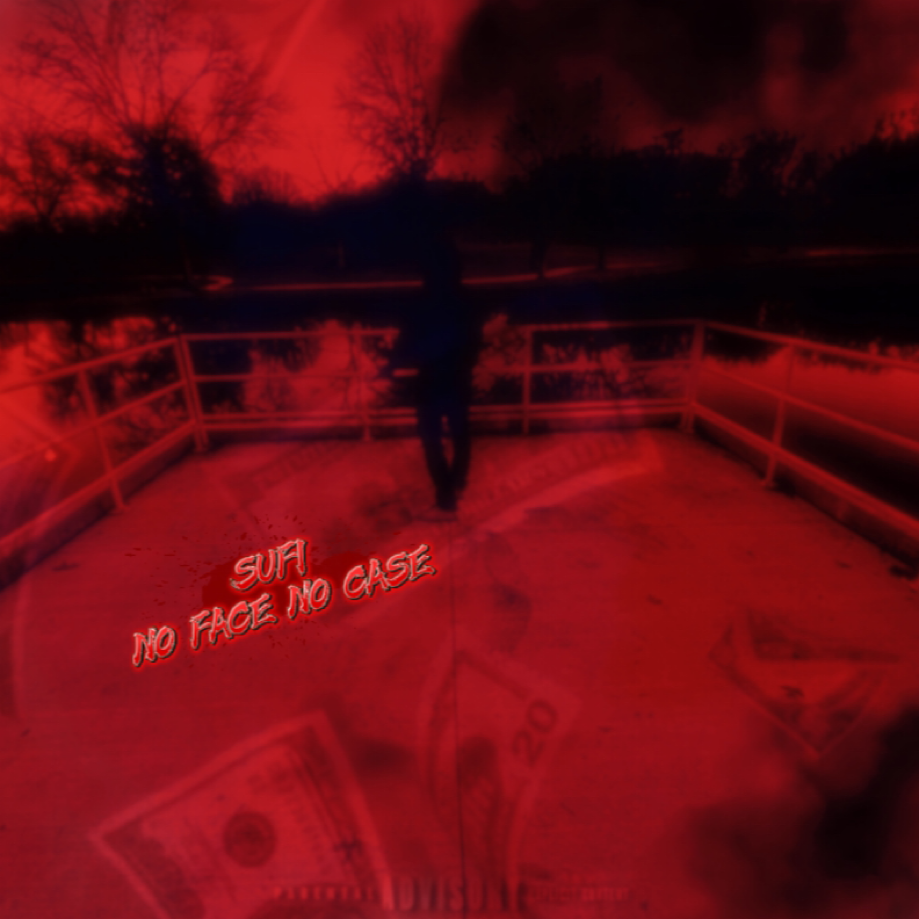 No Face No Case artwork