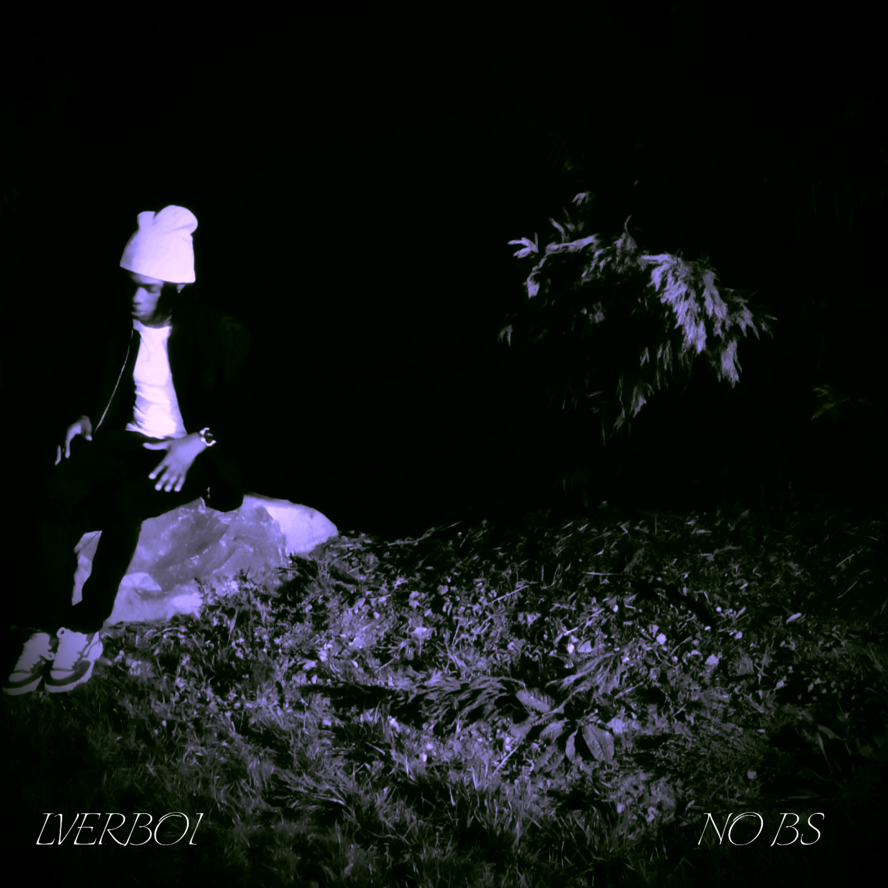 No BS artwork